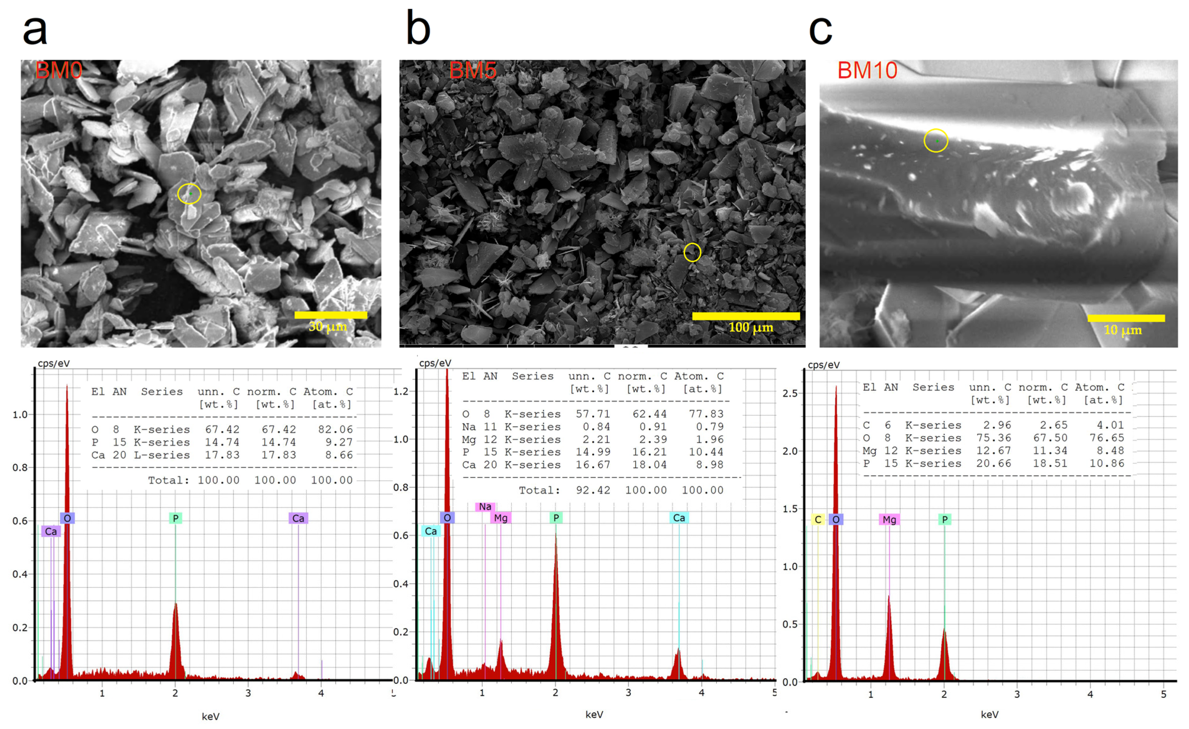 Minerals 11 00284 g004 Minerals 11 00284 g004
