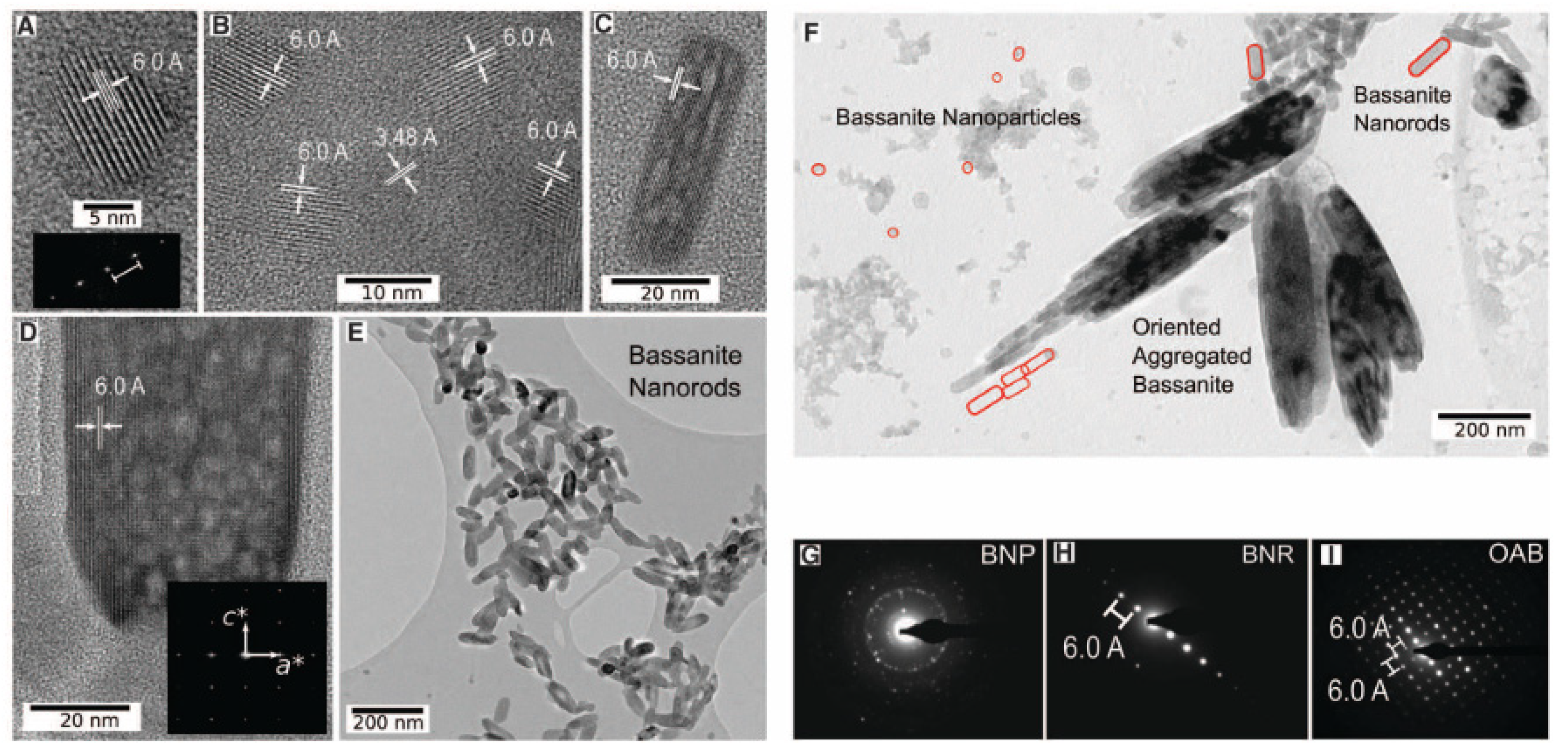 Minerals 11 00292 g008