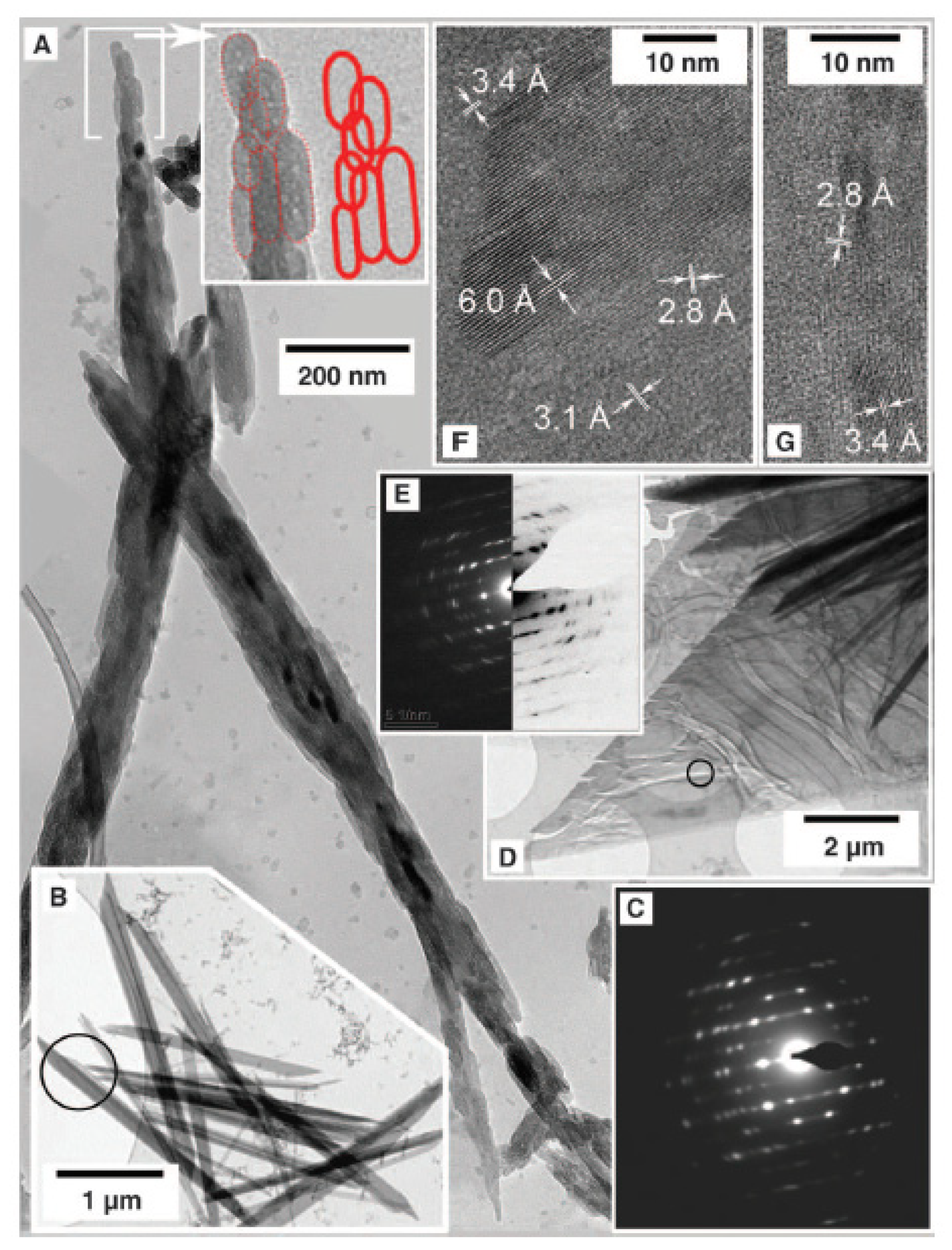 Minerals 11 00292 g009