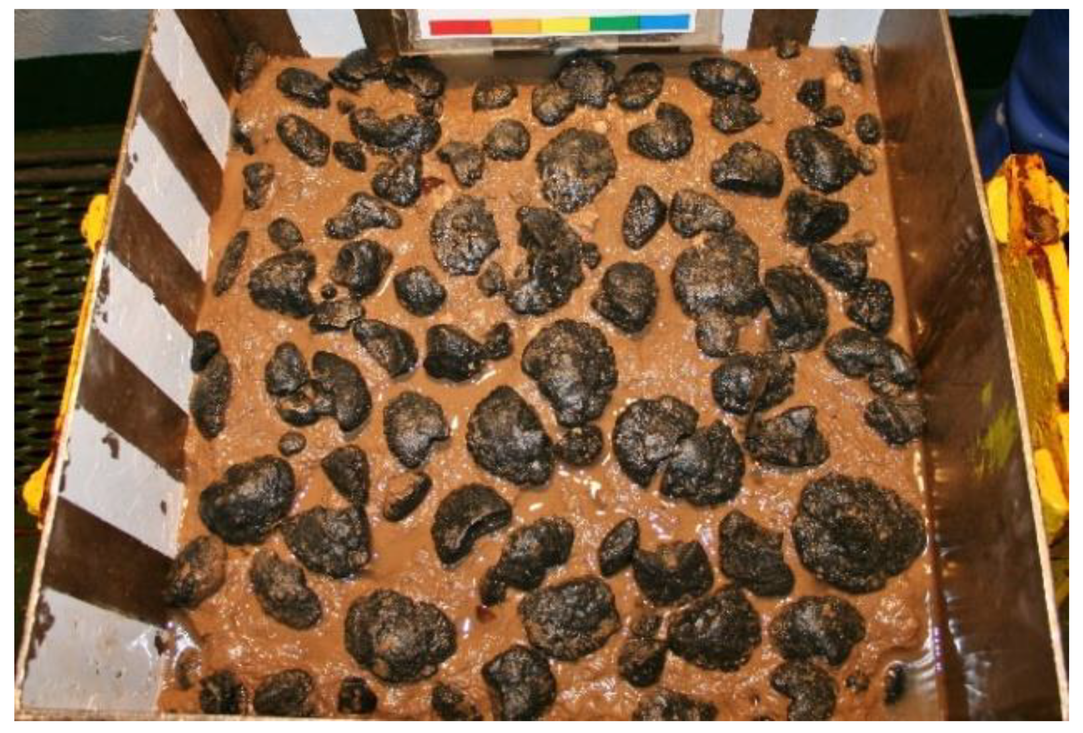 Minerals 11 00311 g003