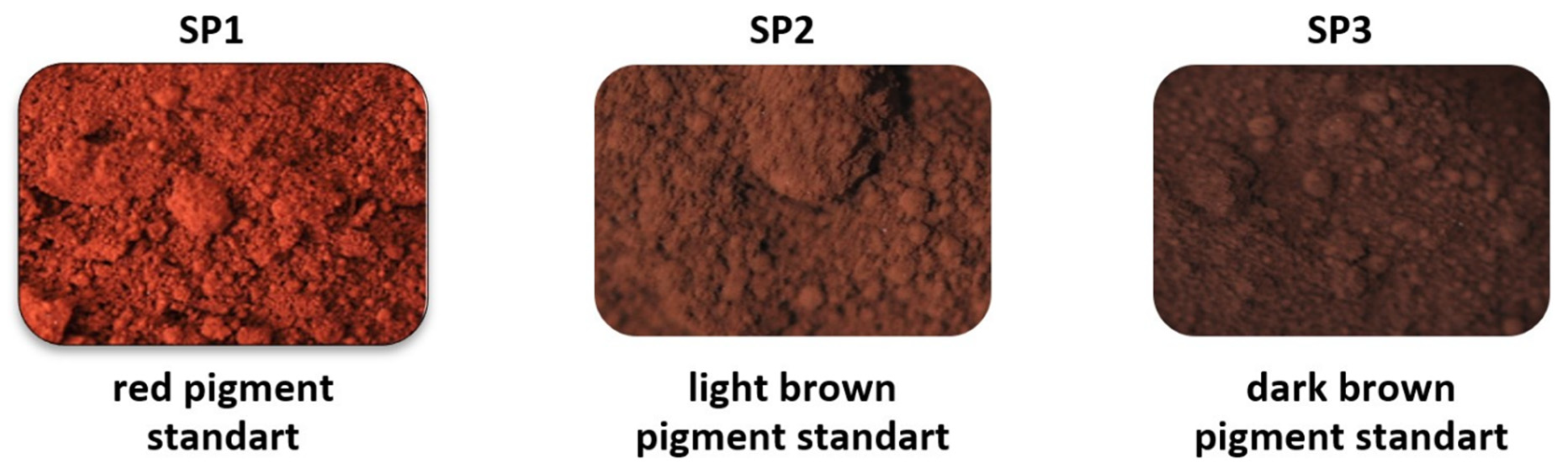 Minerals 11 00313 g001