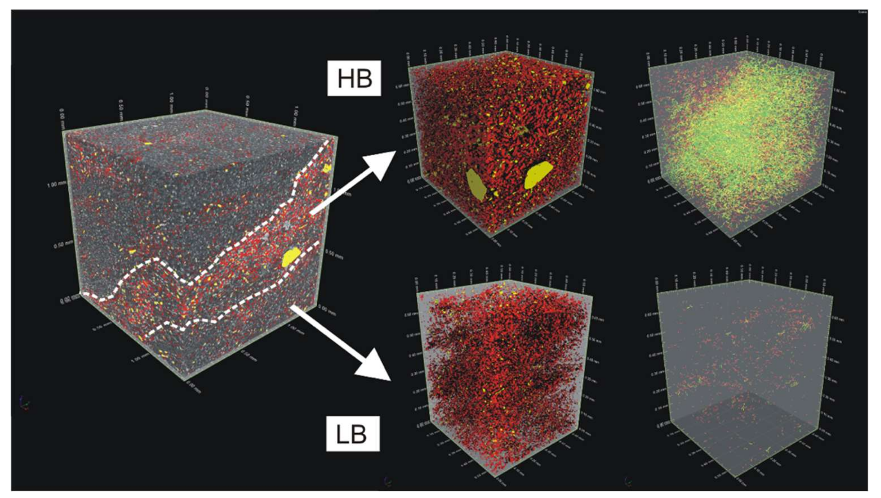 Minerals 11 00333 g003