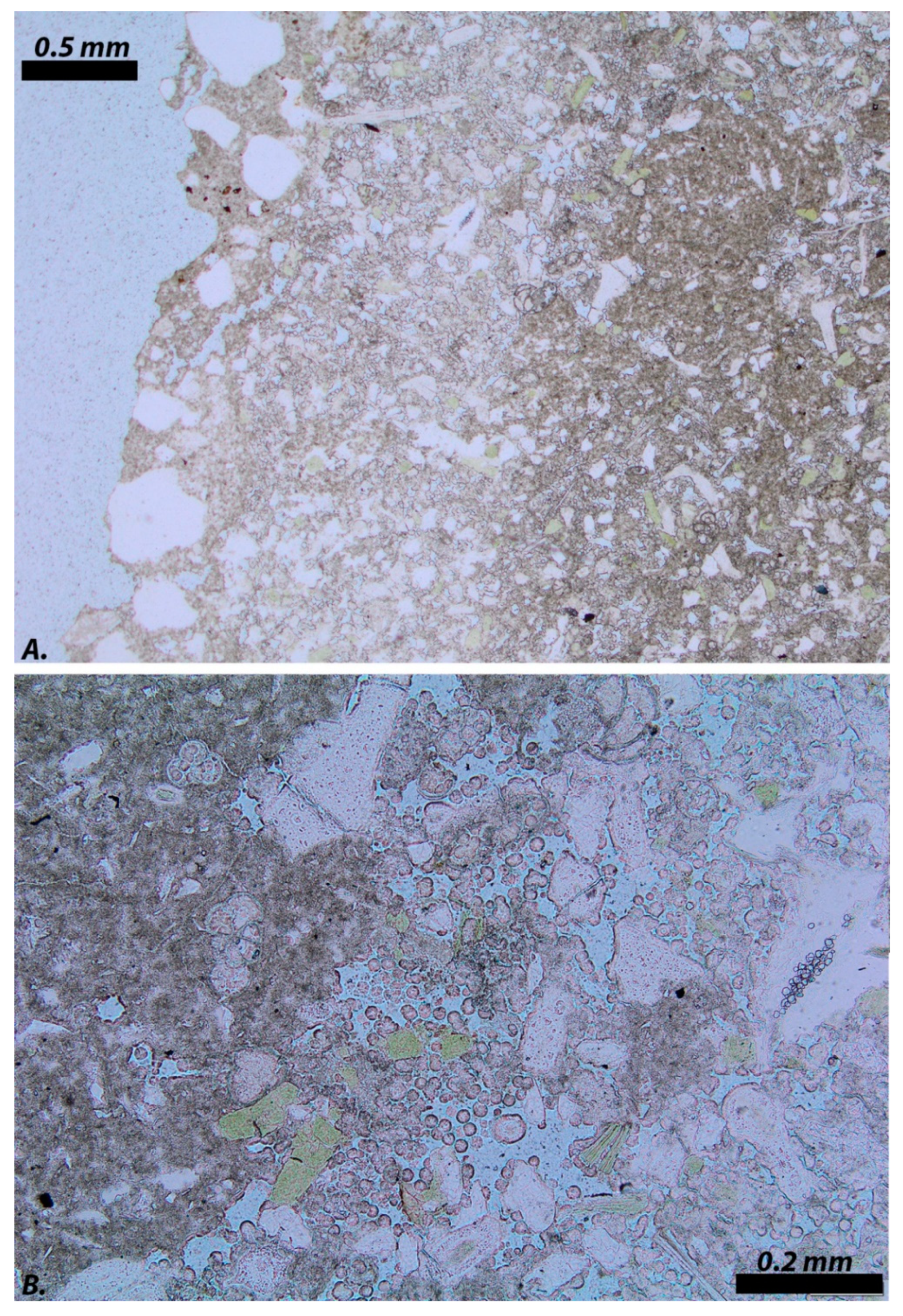 Minerals 11 00345 g004