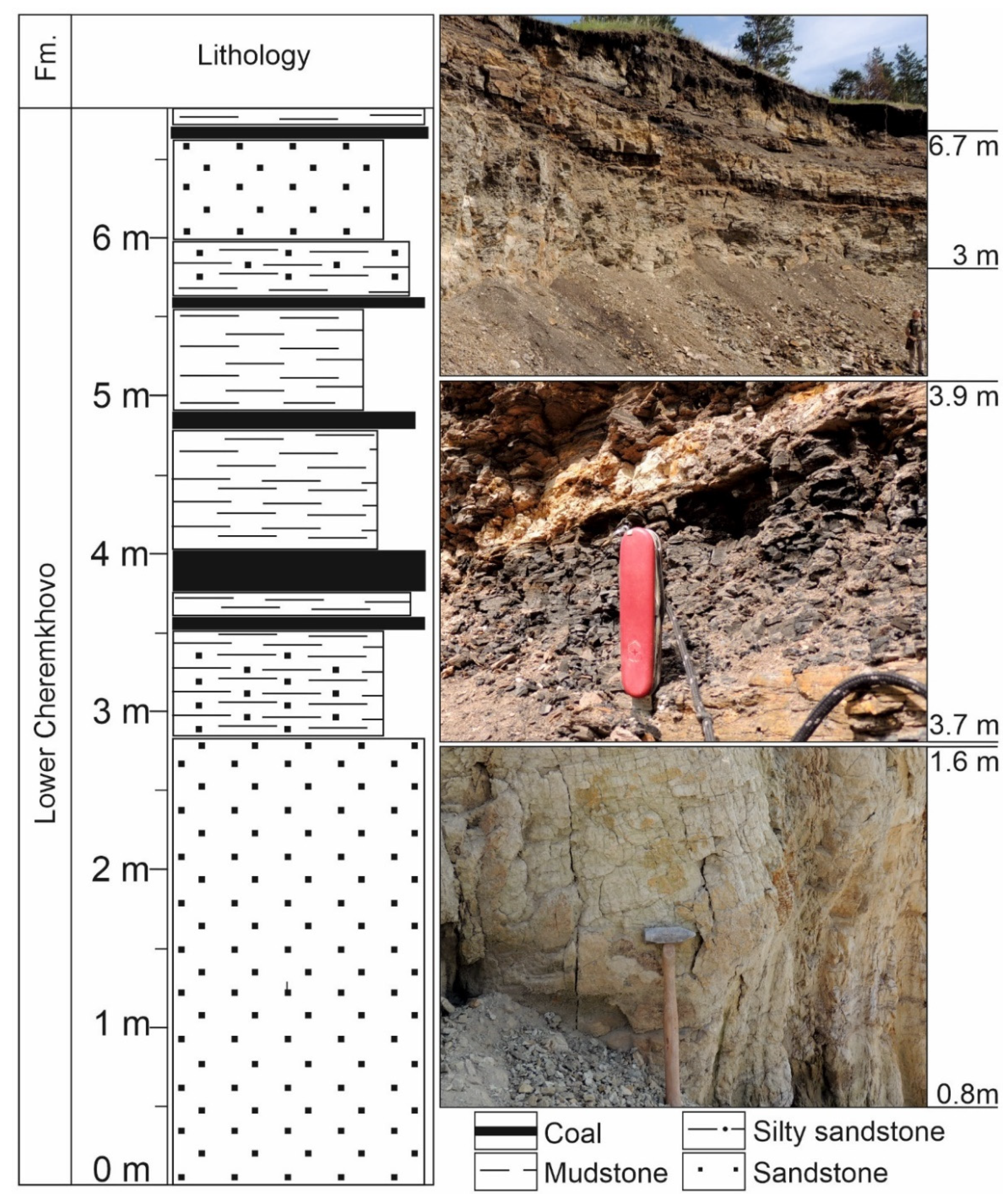 Minerals 11 00357 g004 Minerals 11 00357 g004