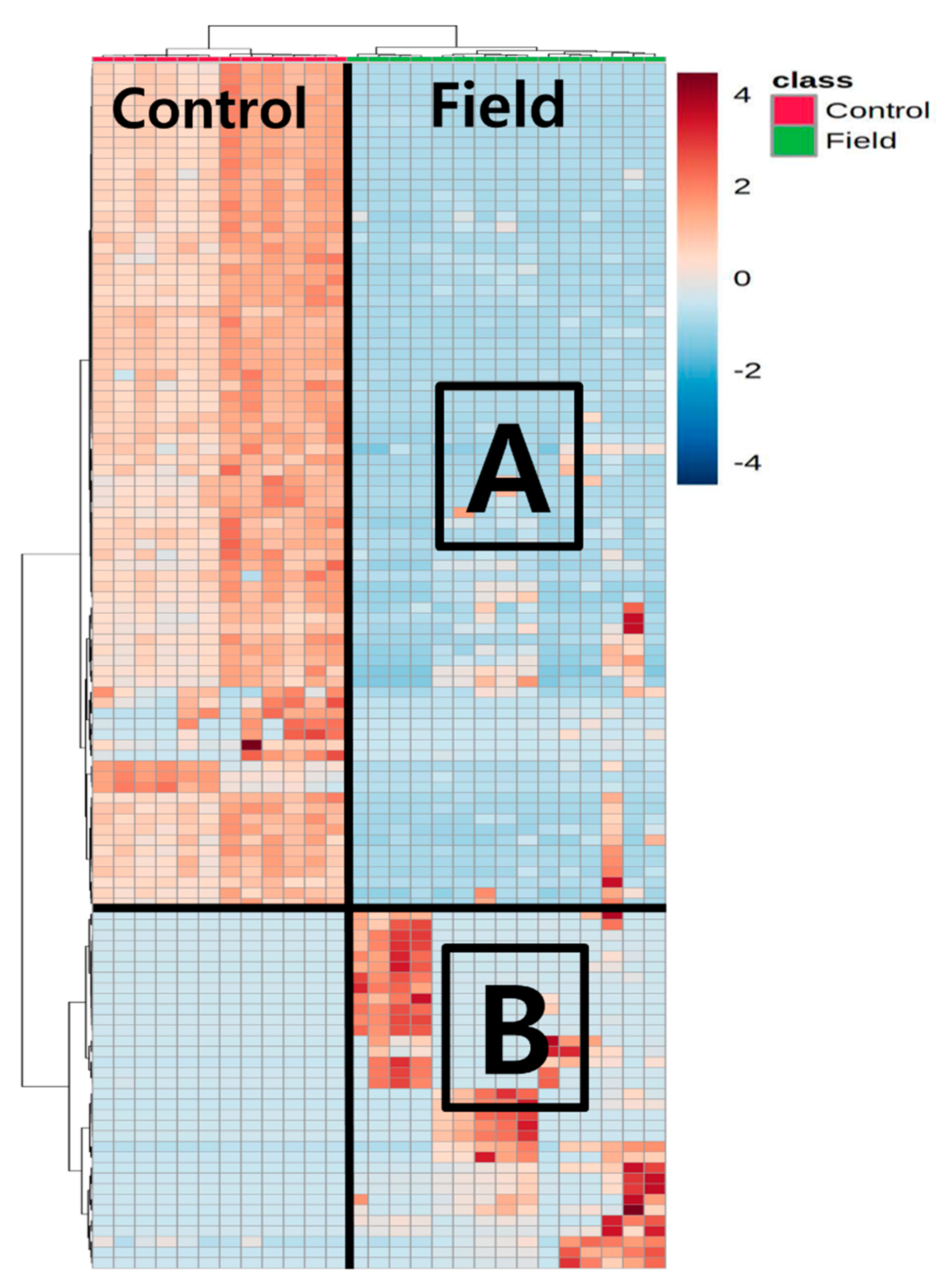 Minerals 11 00372 g004