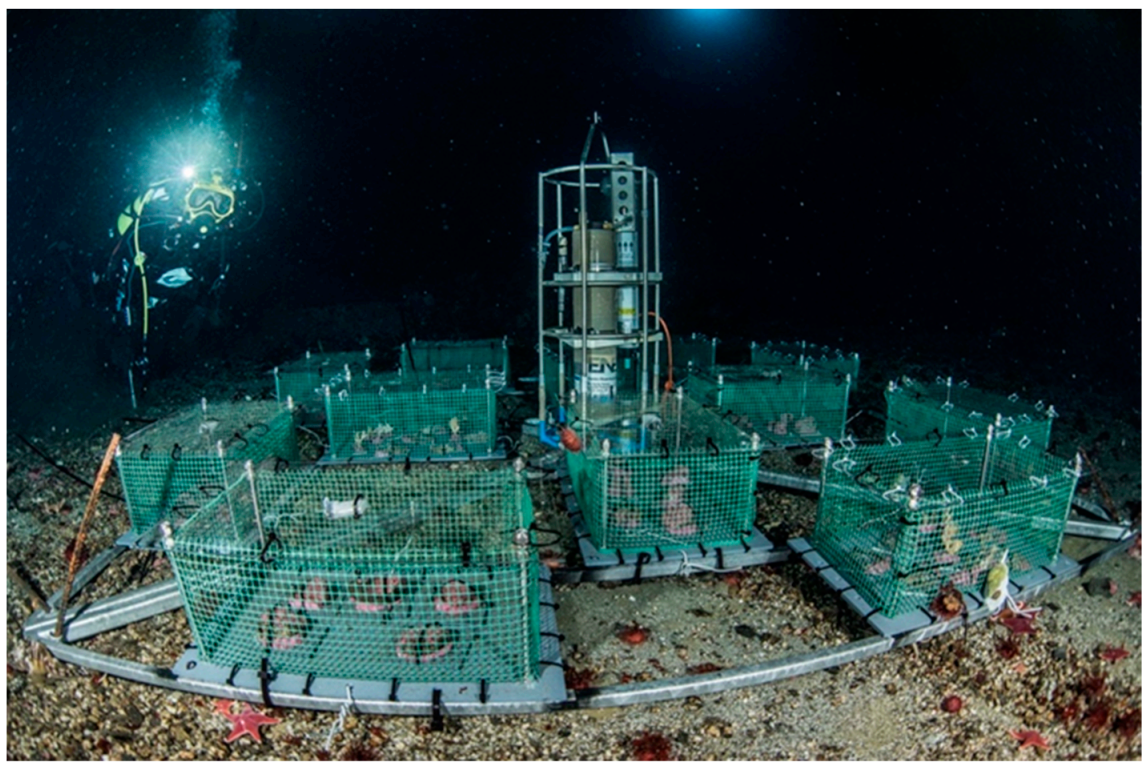 Minerals 11 00374 g002