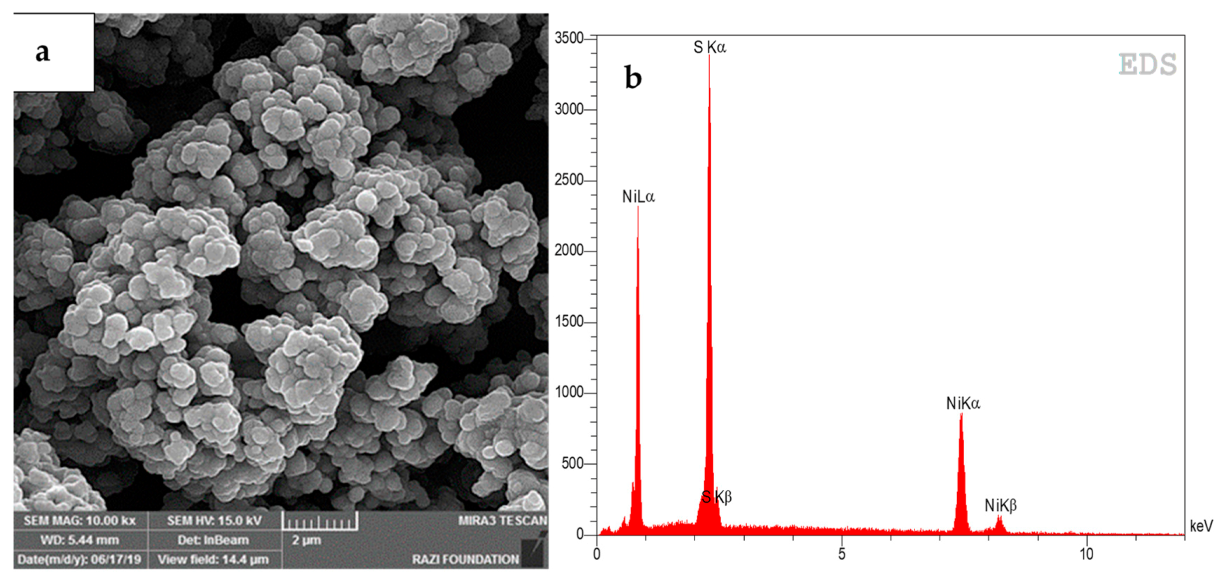 Minerals 11 00419 g006