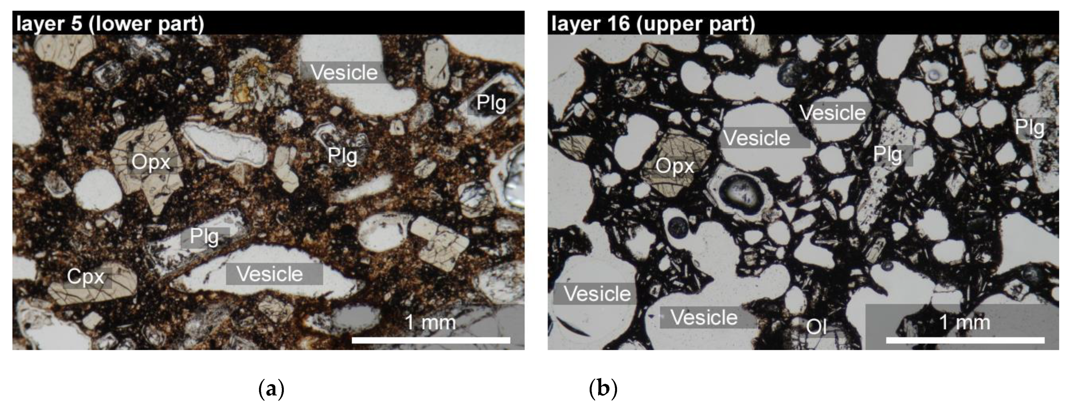 Minerals 11 00430 g003 Minerals 11 00430 g003