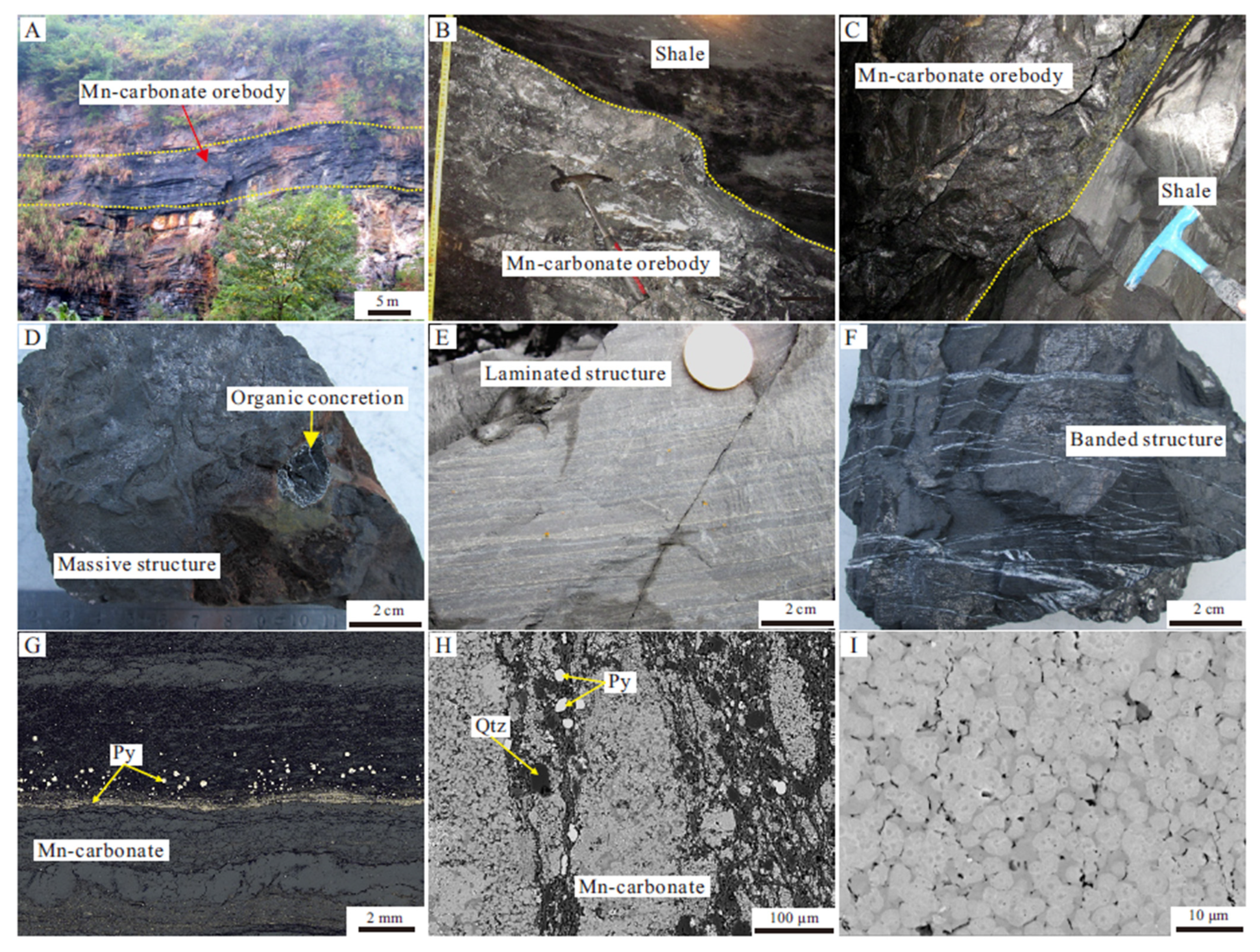 Minerals 11 00446 g004