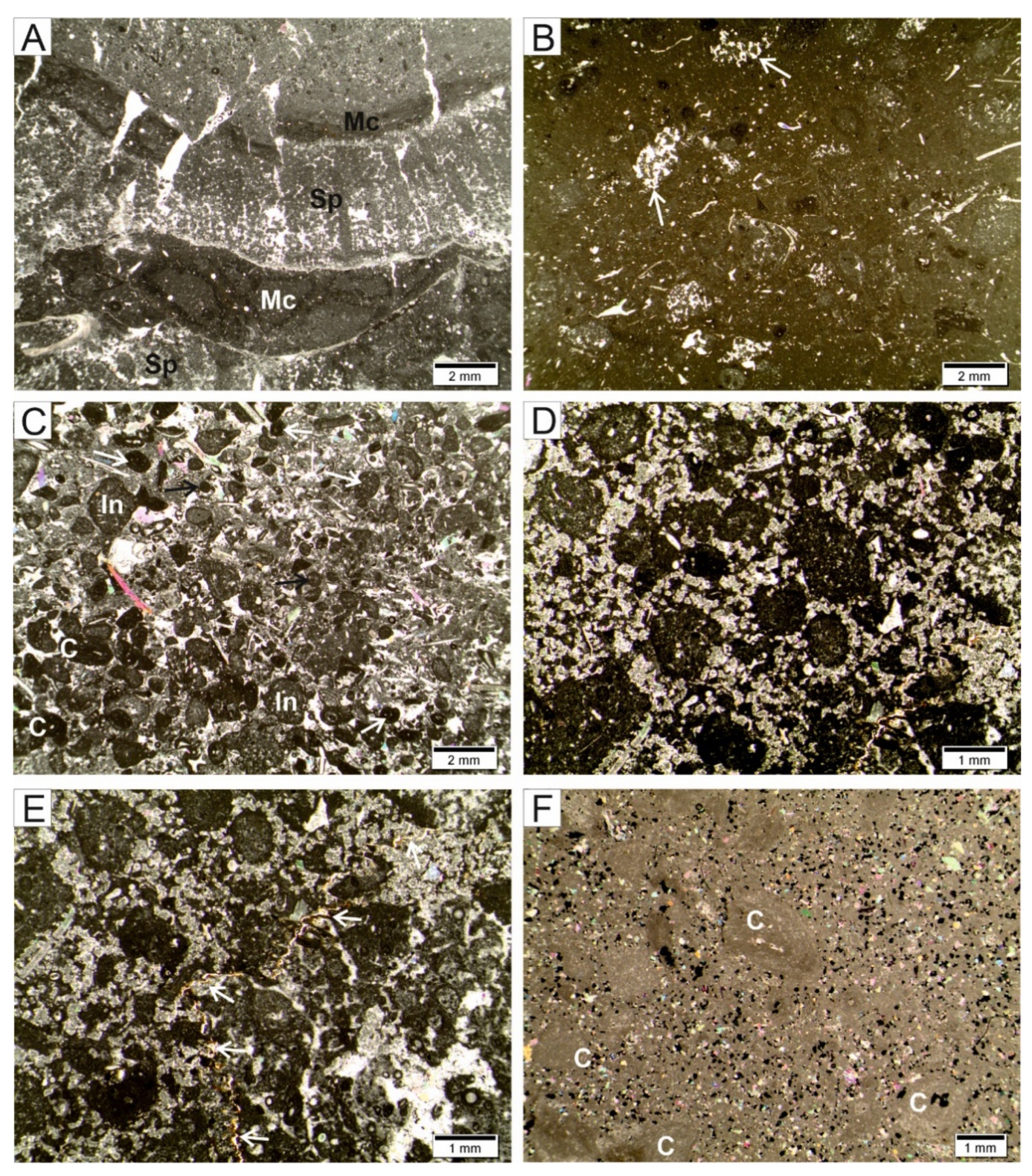 Minerals 11 00462 g003 Minerals 11 00462 g003