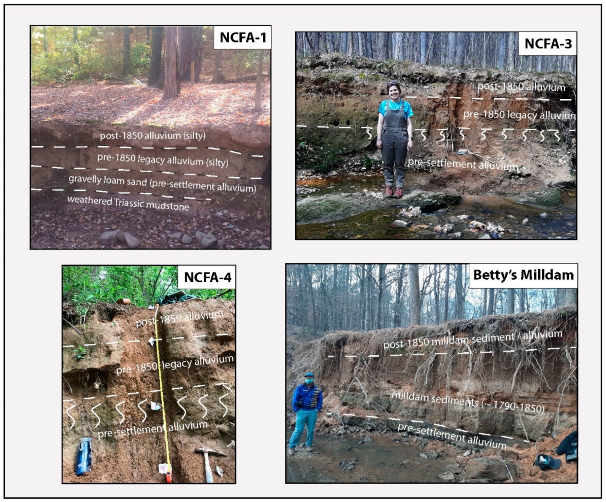 Minerals 11 00476 g003