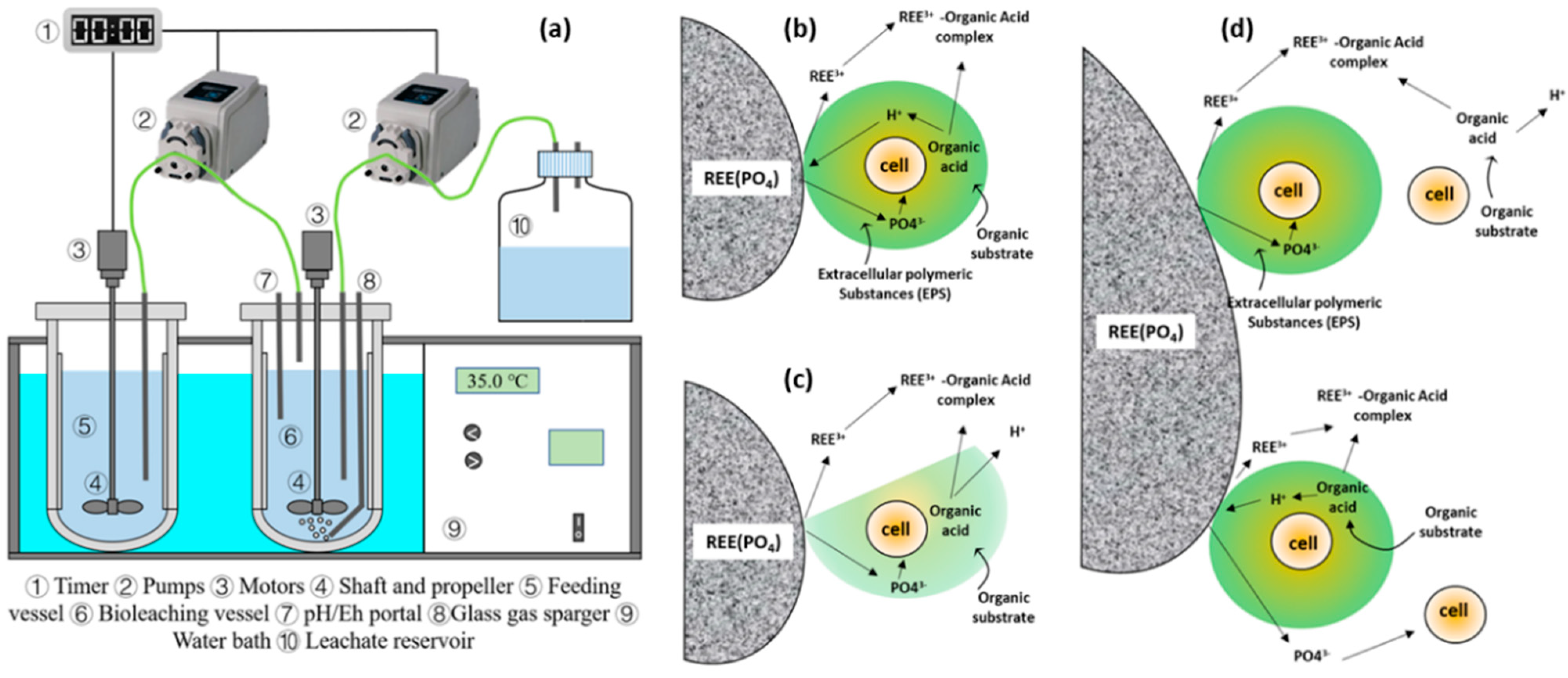 Minerals 11 00484 g001