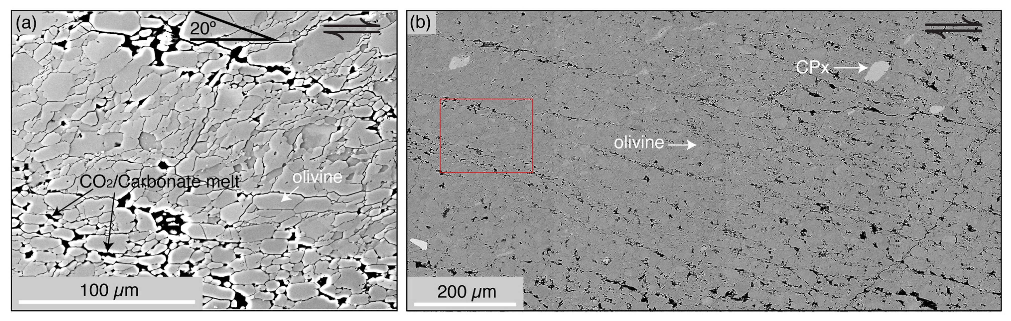 Minerals 11 00493 g004