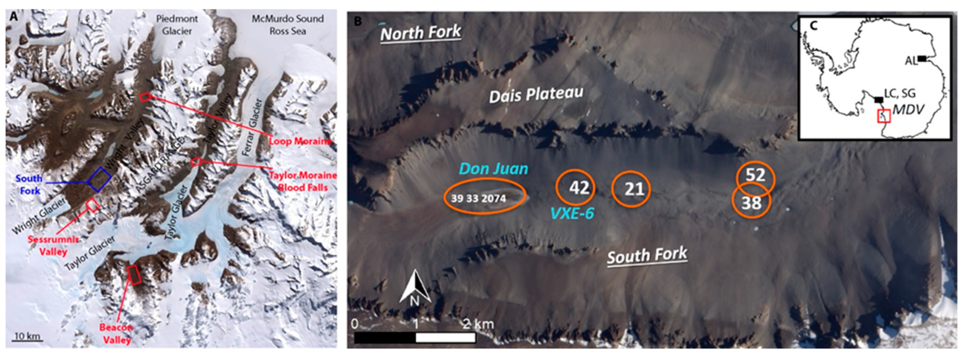 Minerals 11 00507 g001