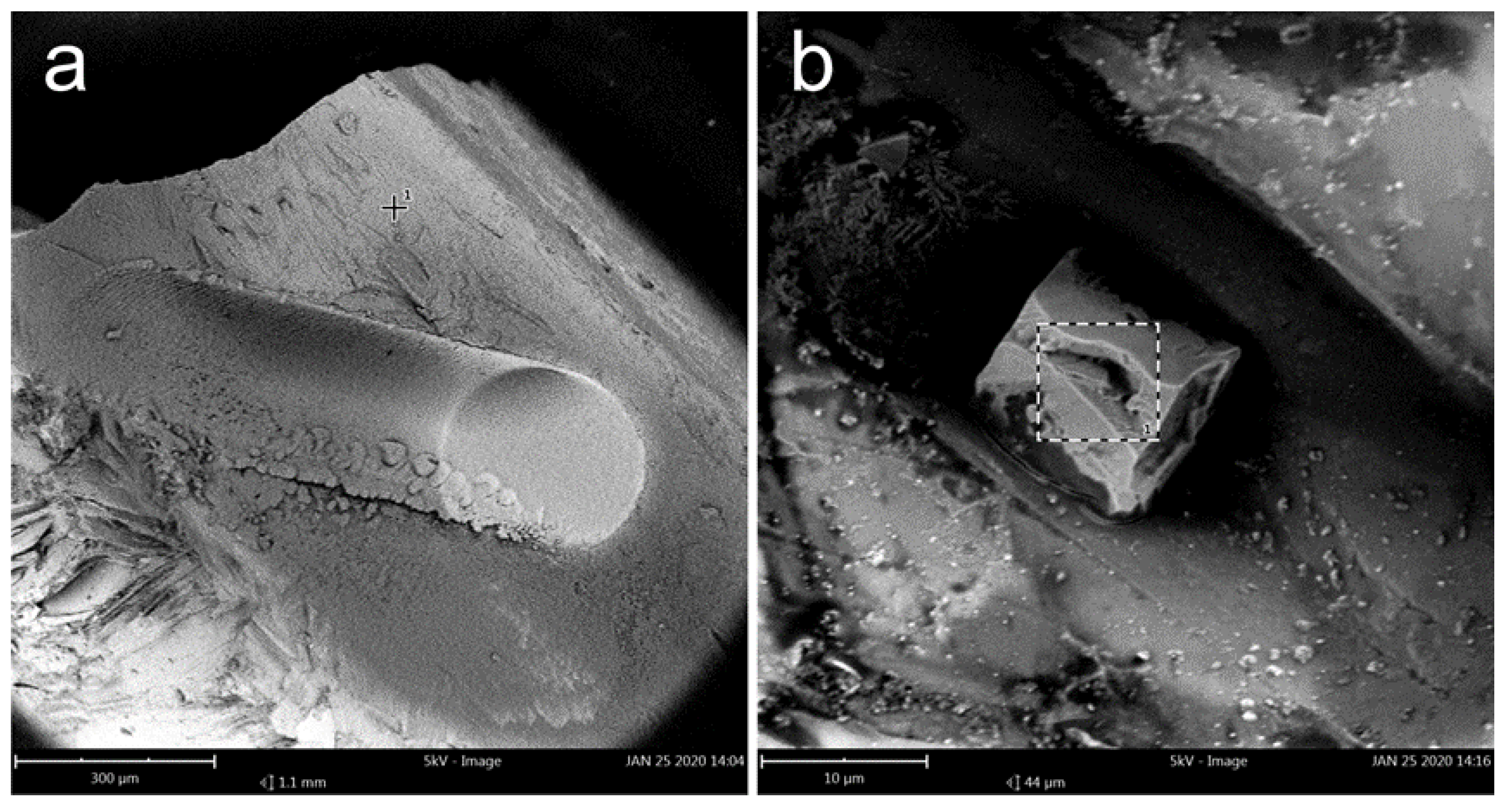 Minerals 11 00513 g002