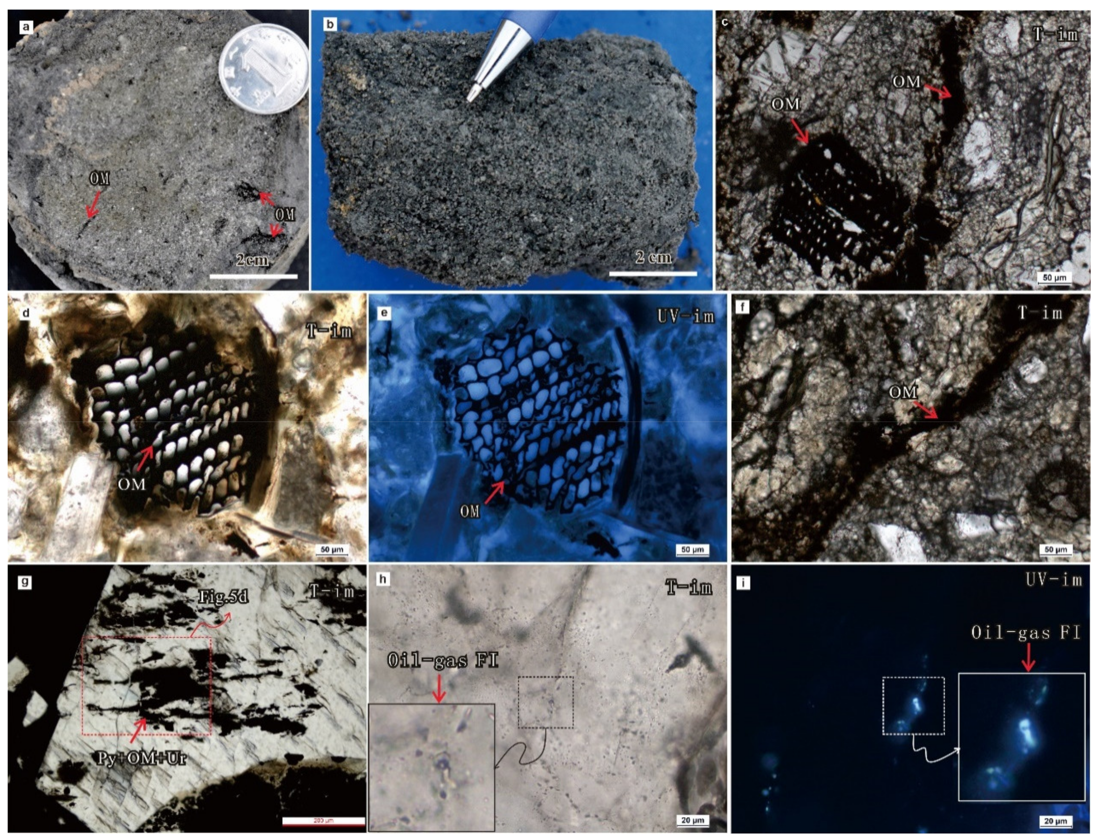 Minerals 11 00532 g005 Minerals 11 00532 g005