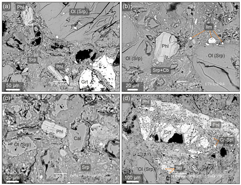 Minerals 11 00540 g003