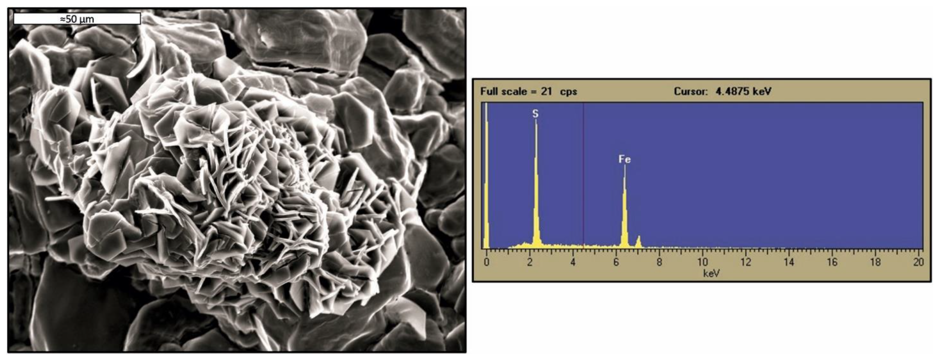 Minerals 11 00575 g002