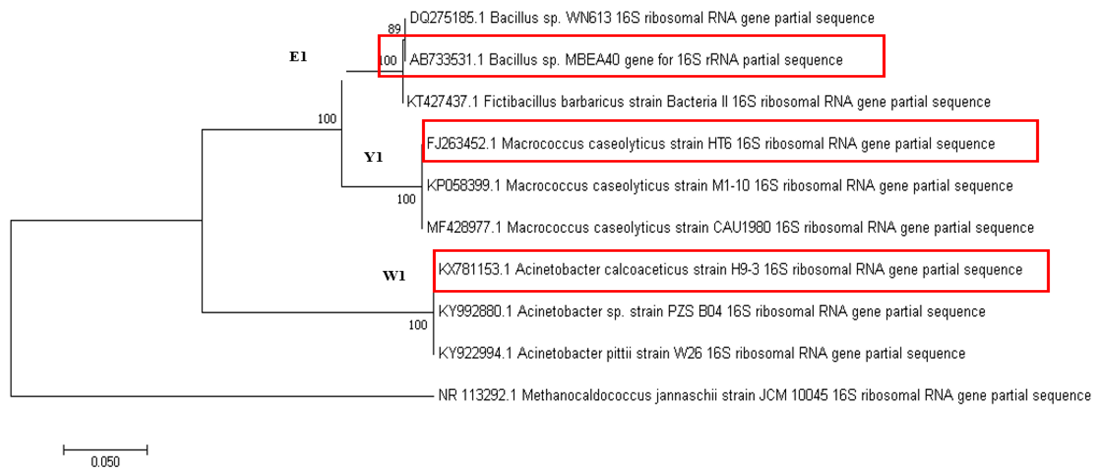Minerals 11 00580 g001 Minerals 11 00580 g001