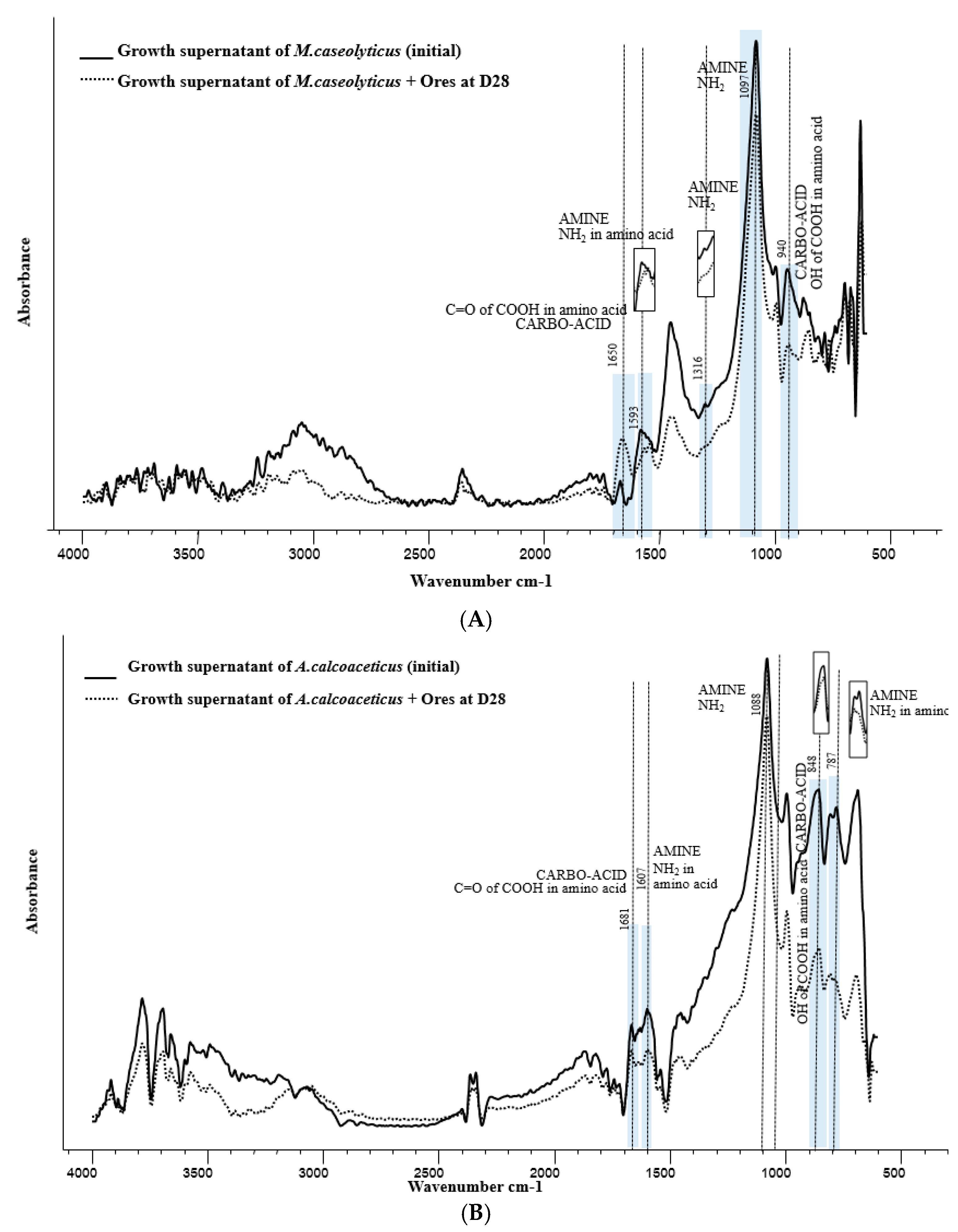 Minerals 11 00580 g005 Minerals 11 00580 g005