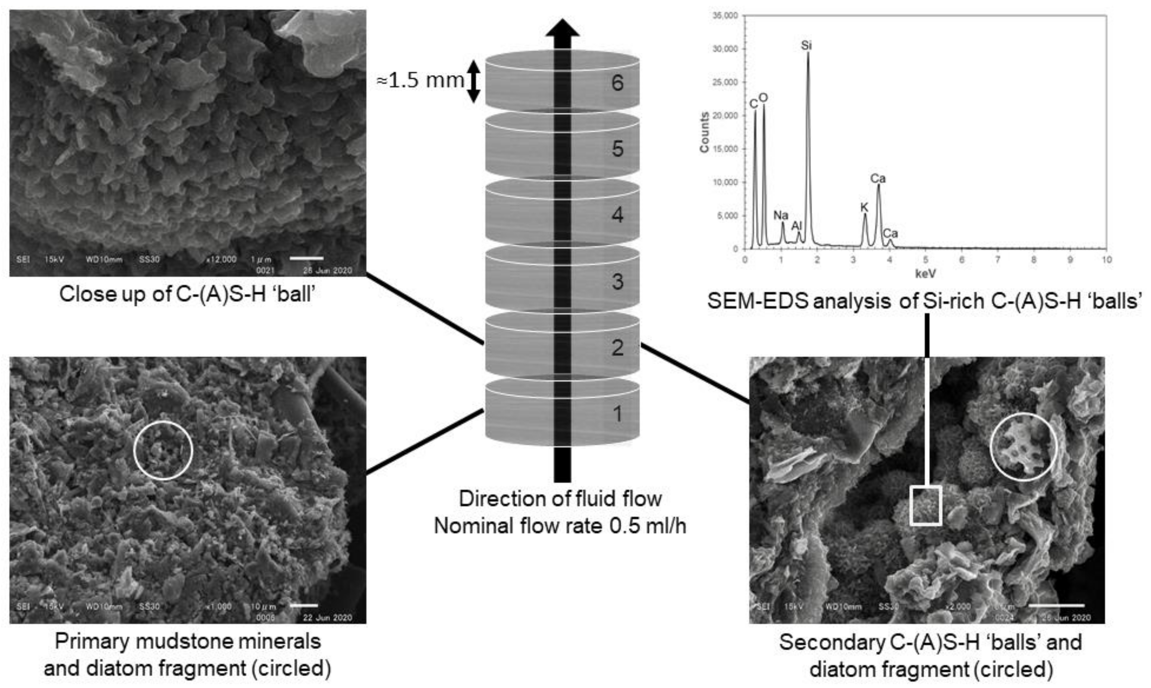 Minerals 11 00588 g005