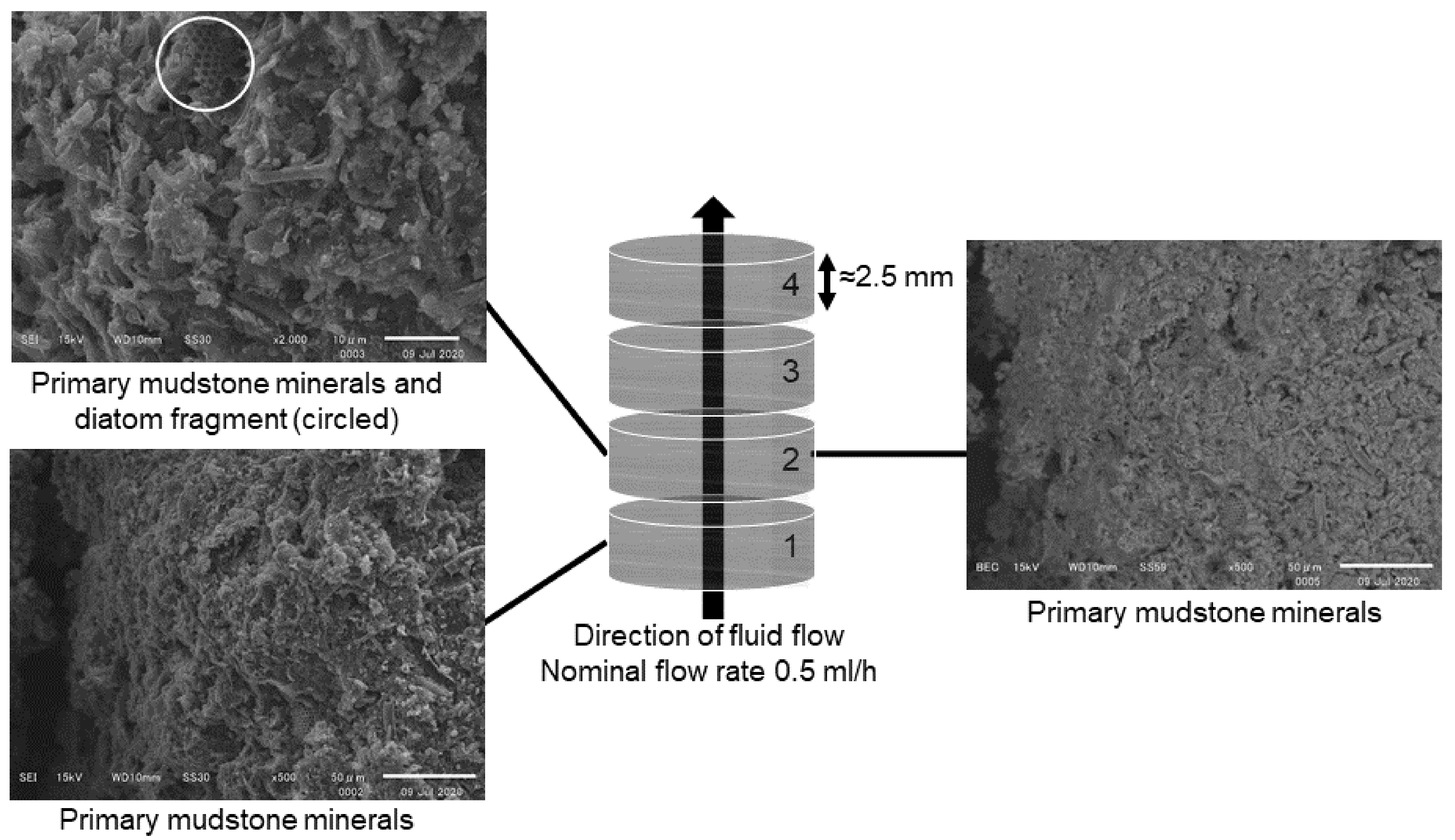 Minerals 11 00588 g006