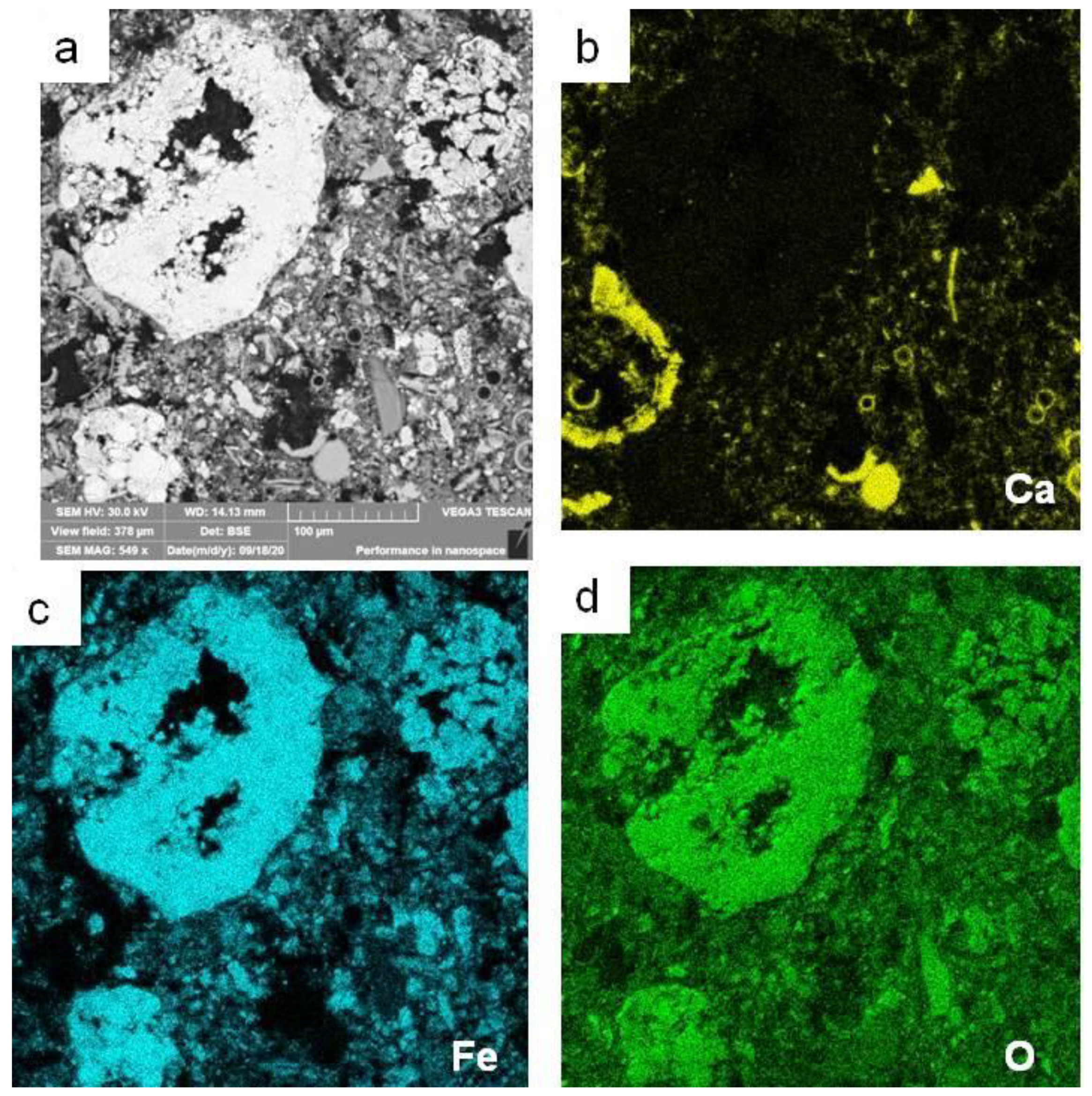Minerals 11 00591 g008