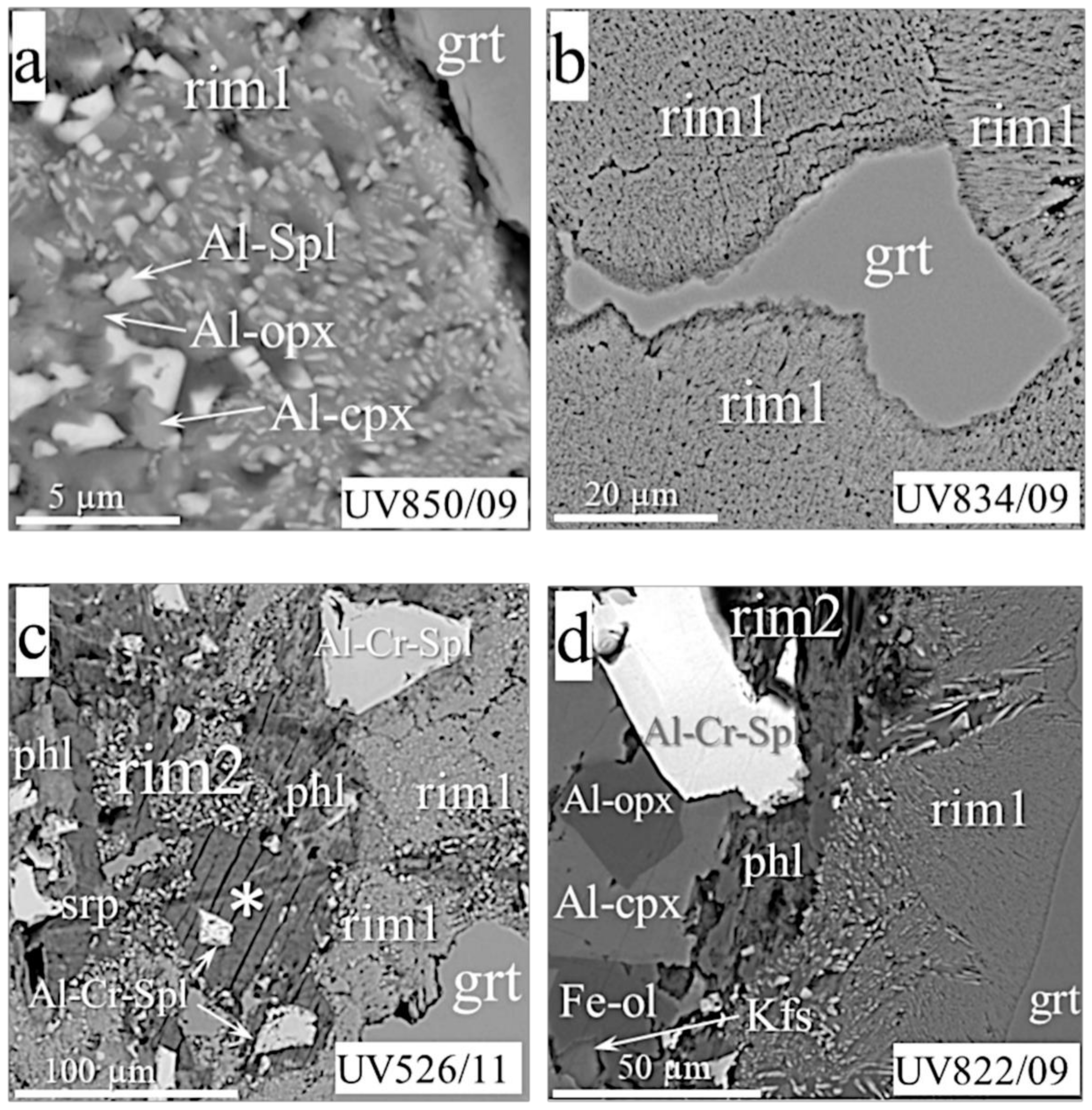 Minerals 11 00615 g002a