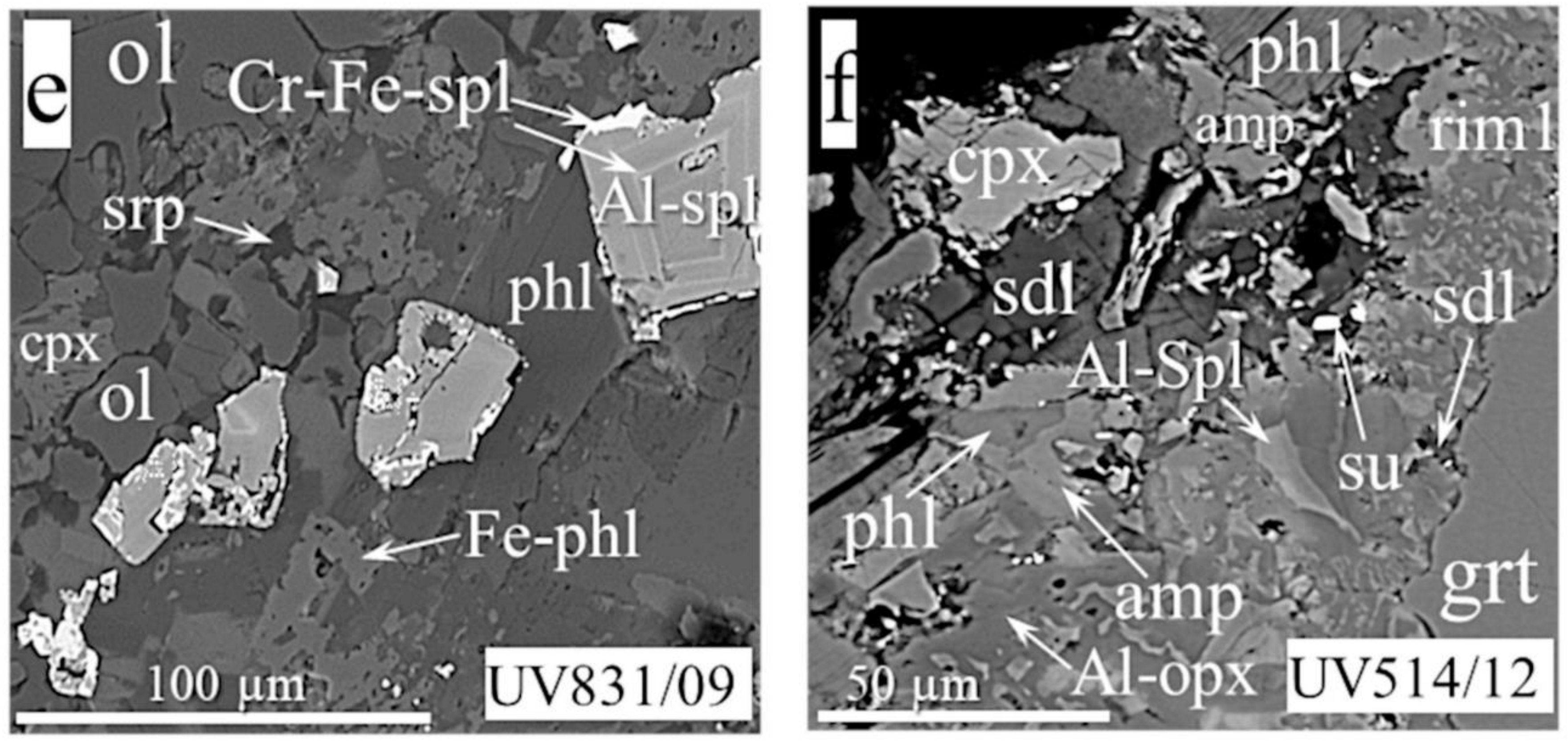 Minerals 11 00615 g003b