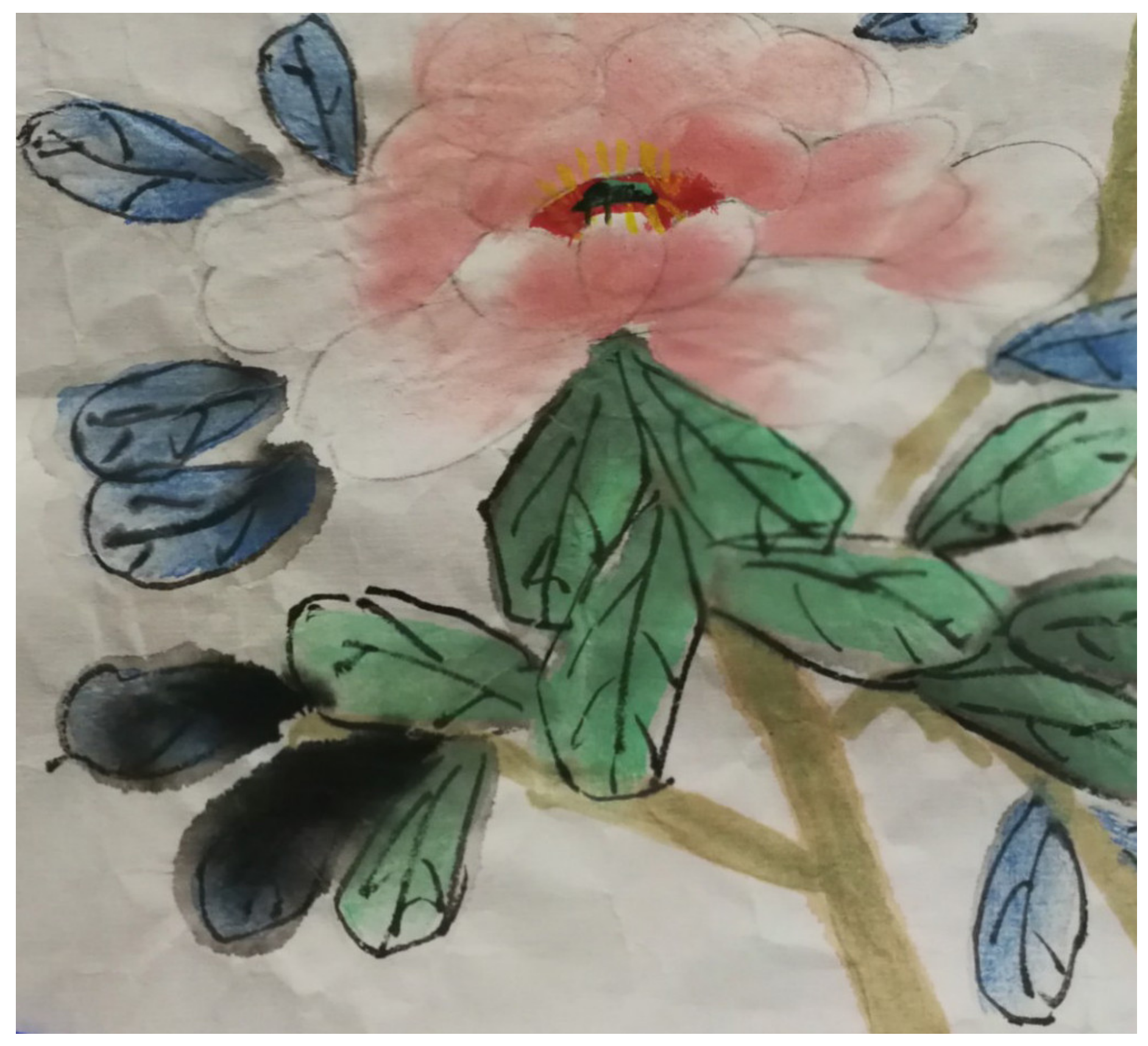 Minerals 11 00626 g003