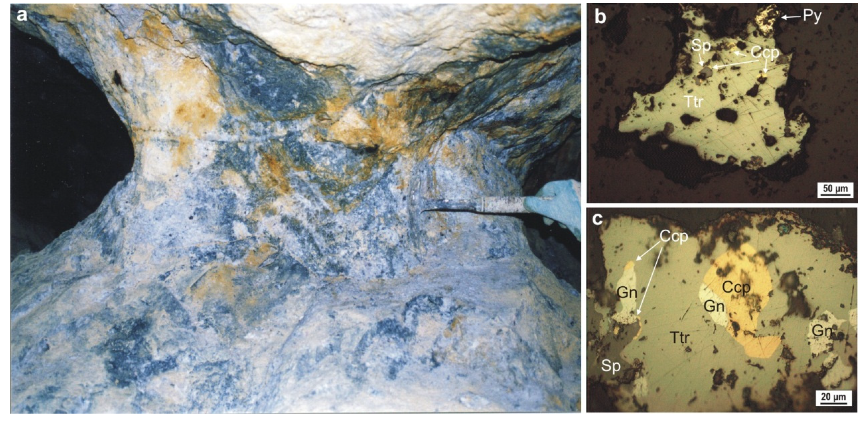 Minerals 11 00634 g004