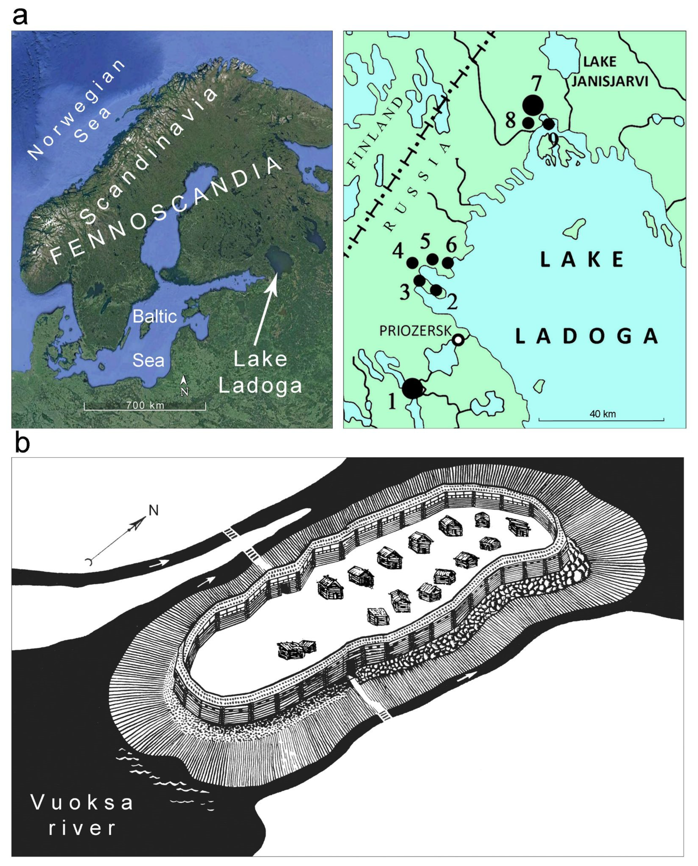 Minerals 11 00648 g001