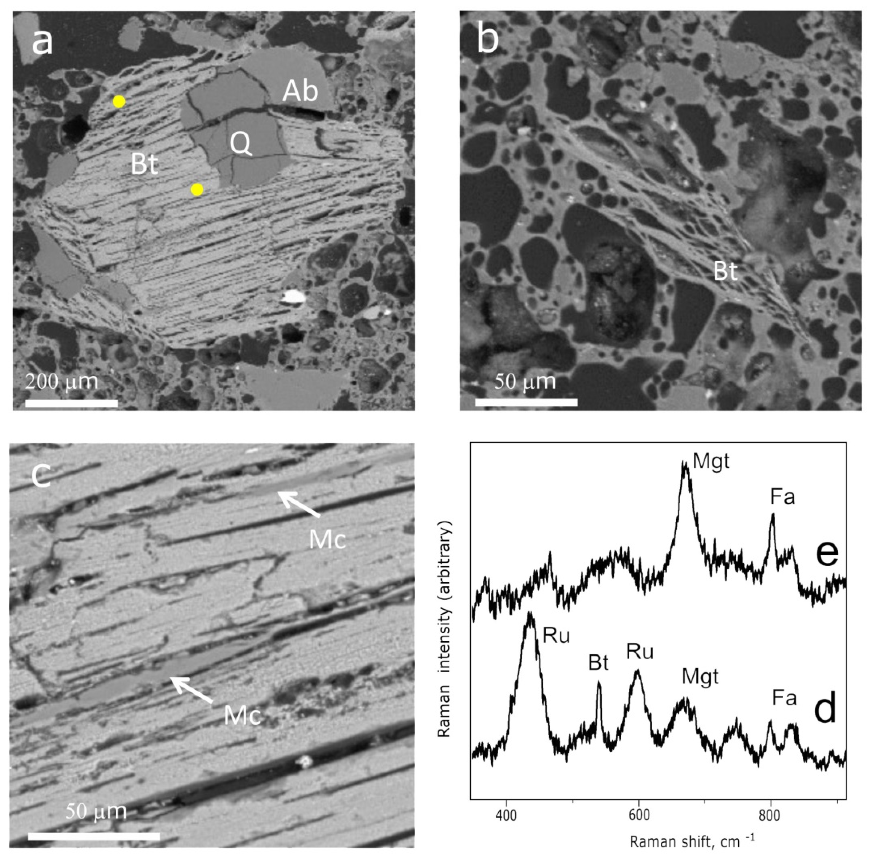 Minerals 11 00648 g006