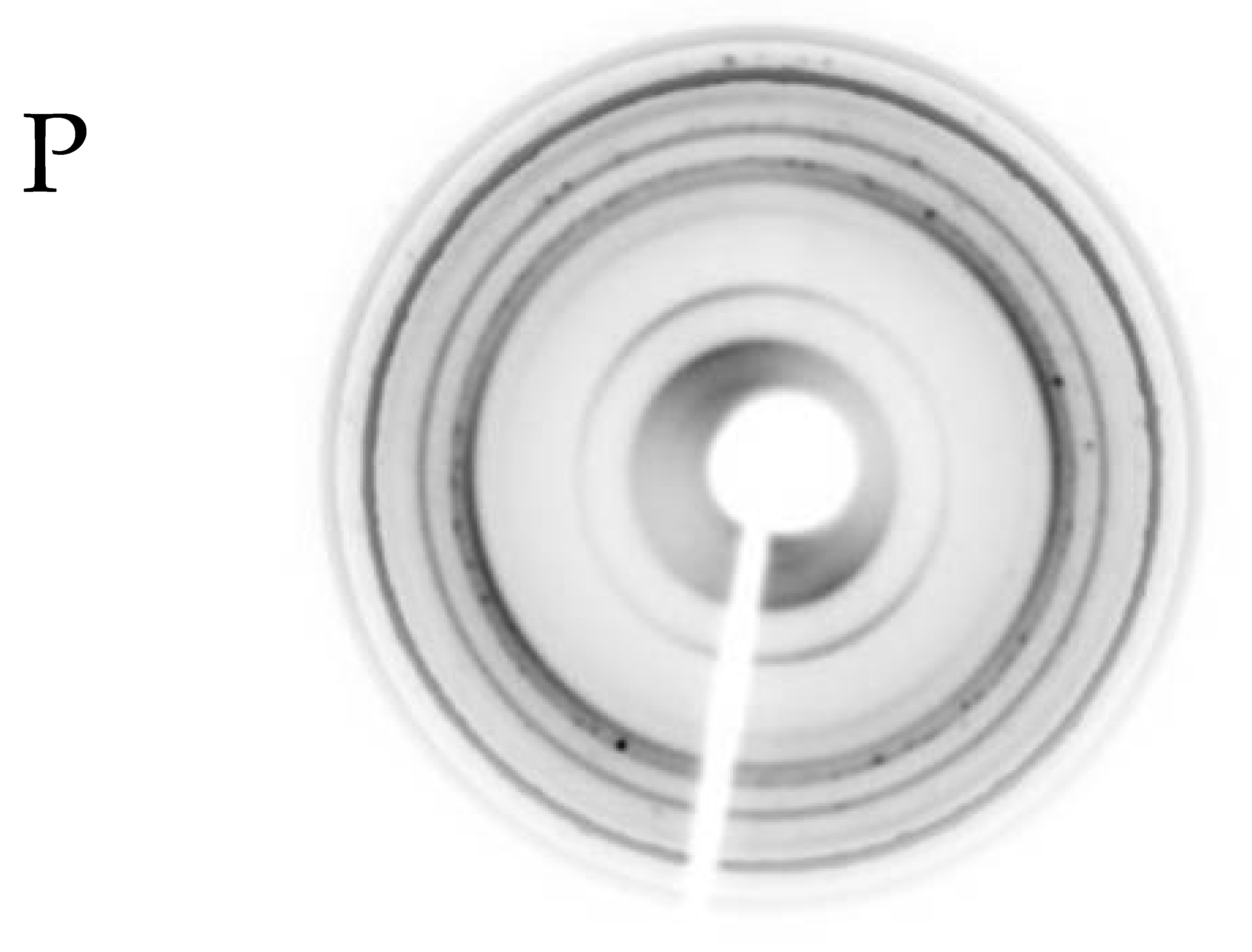 Minerals 11 00653 i007 Minerals 11 00653 i007