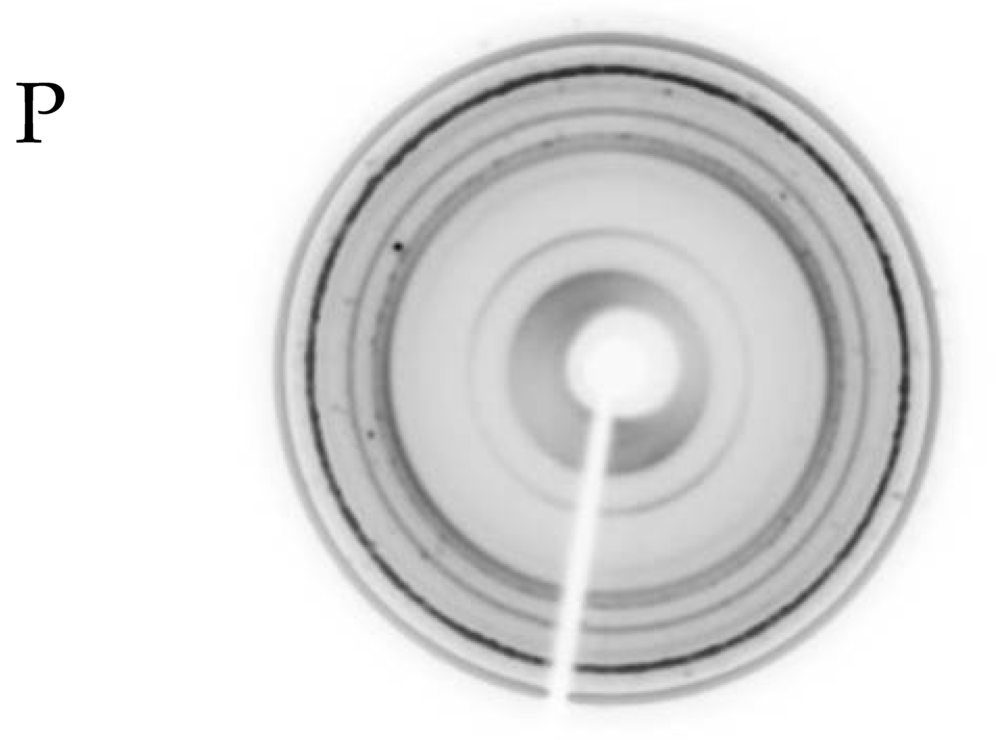 Minerals 11 00653 i008 Minerals 11 00653 i008