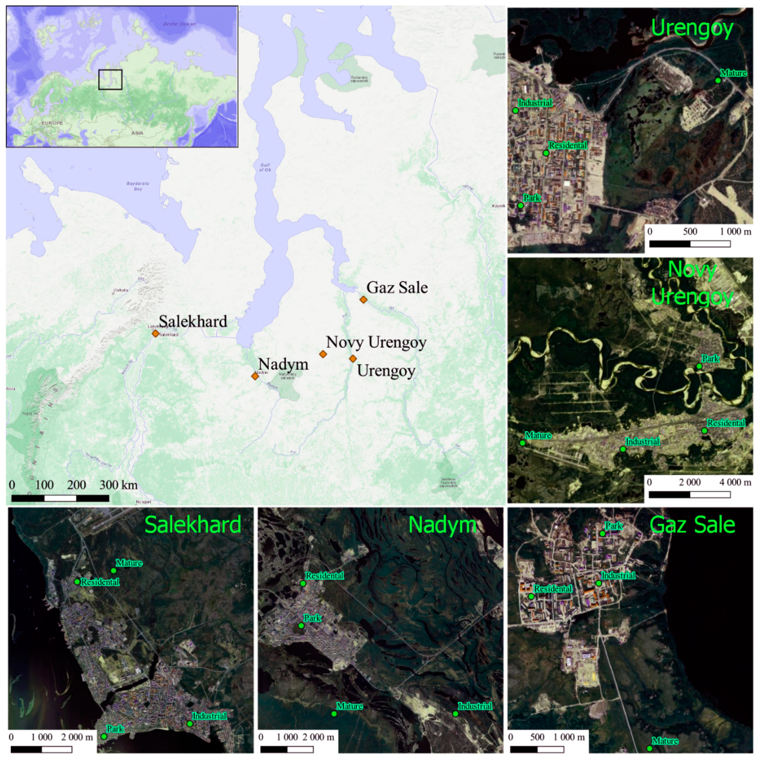 Minerals 11 00668 g001