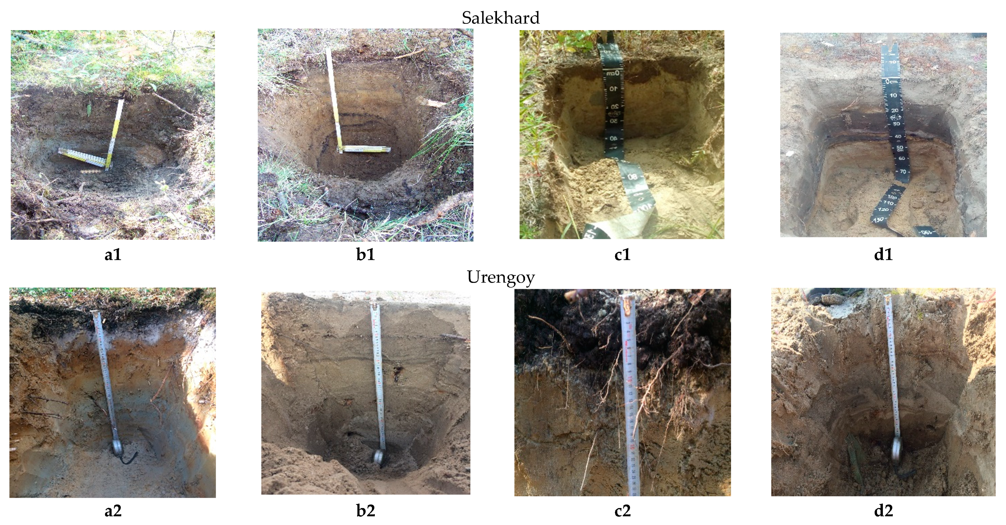 Minerals 11 00668 g002a