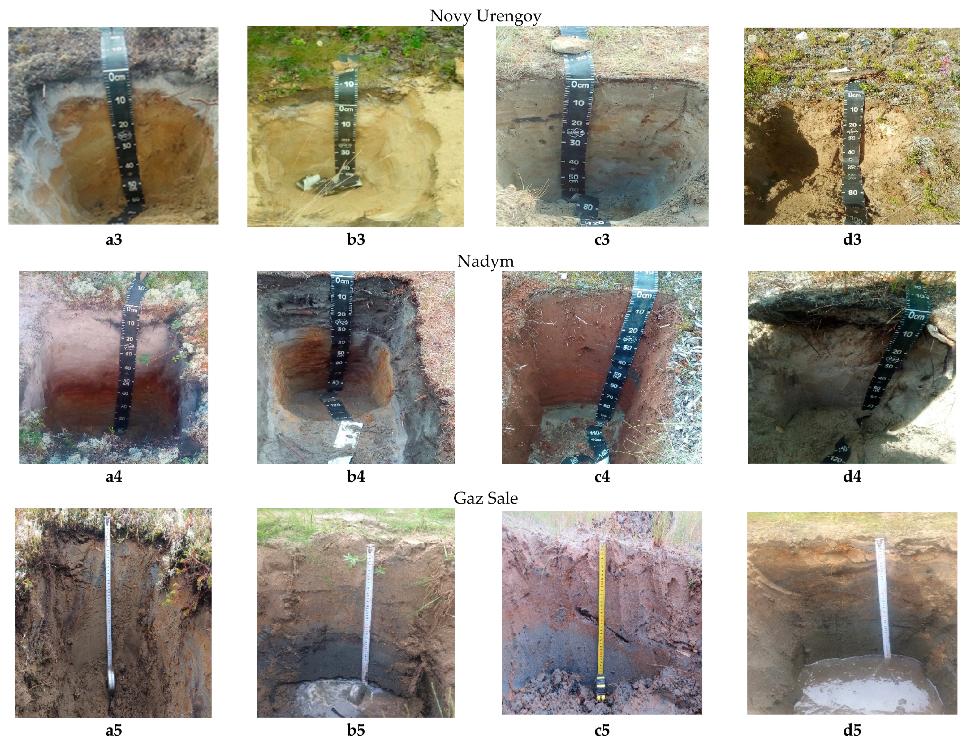 Minerals 11 00668 g002b