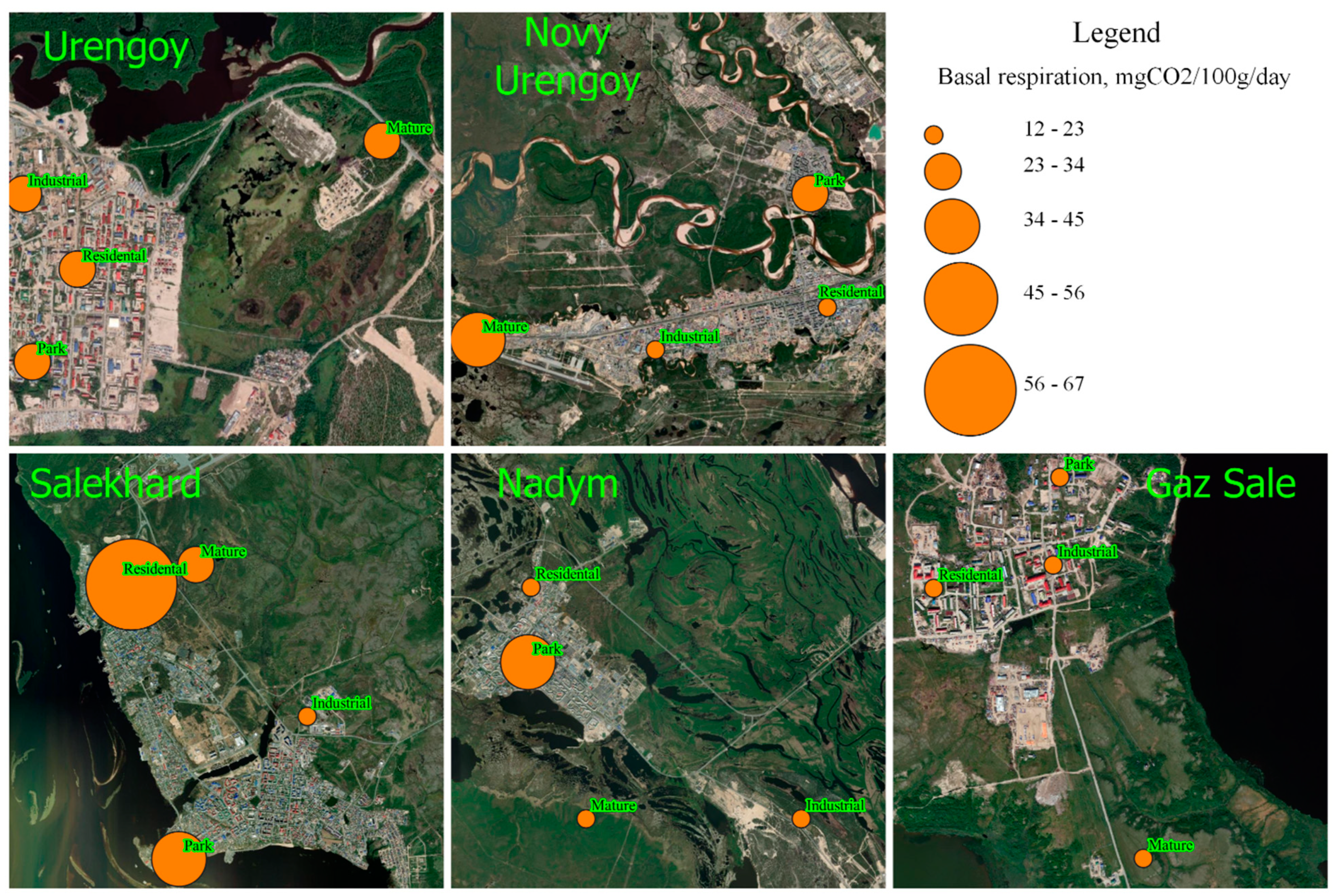 Minerals 11 00668 g004
