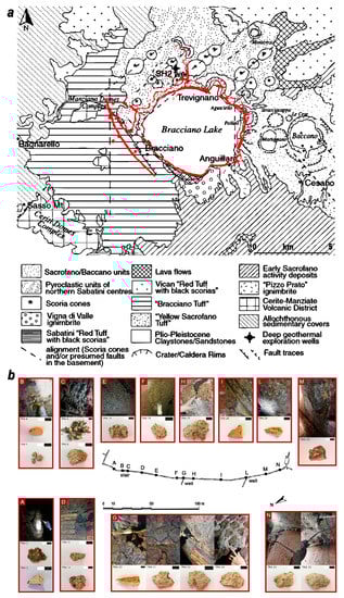 Minerals 11 00703 g001 550
