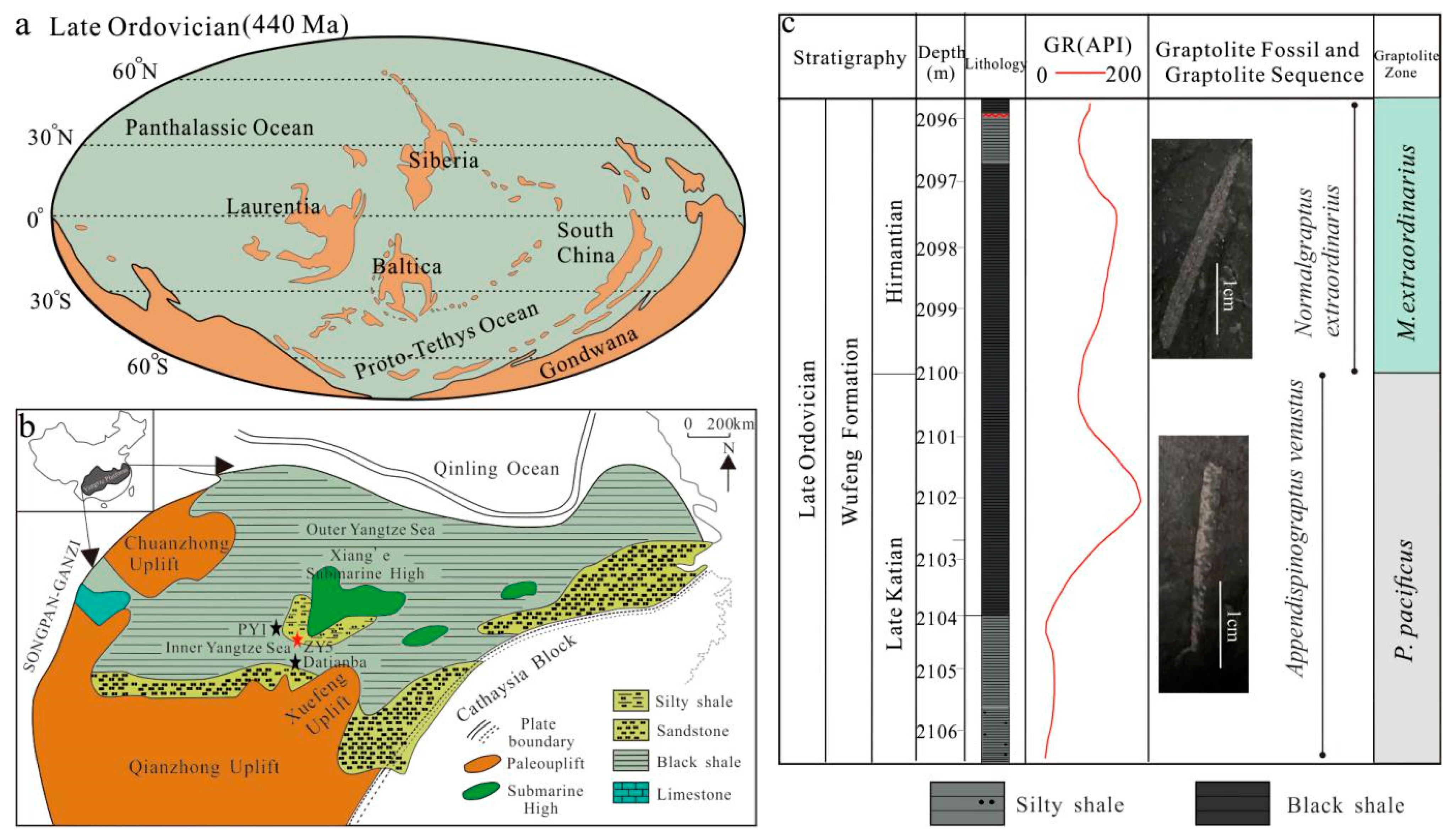 Minerals 11 00710 g001