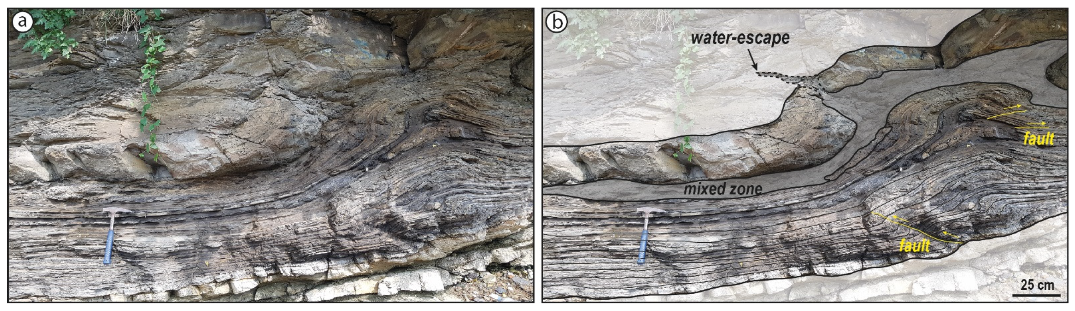 Minerals 11 00721 g006