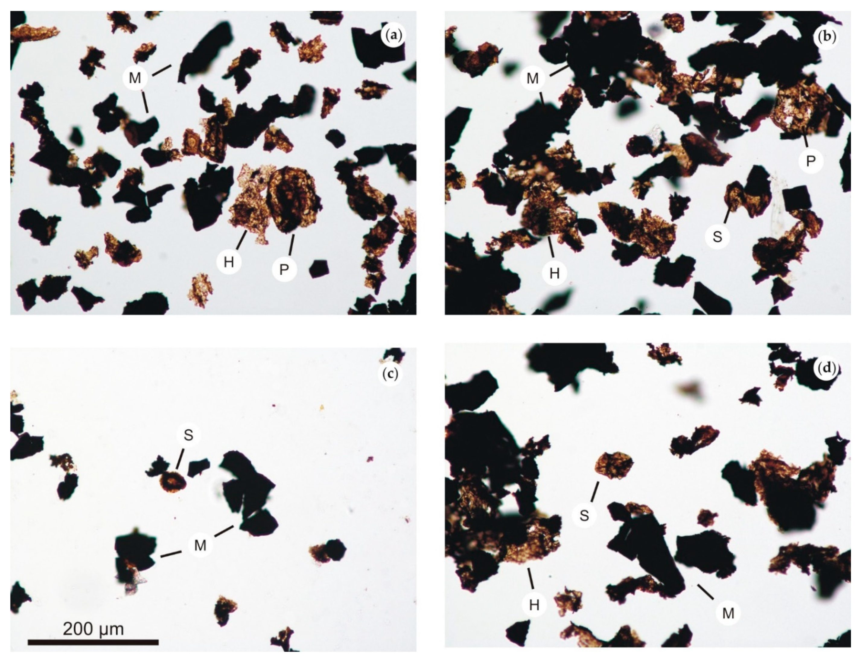 Minerals 11 00735 g009