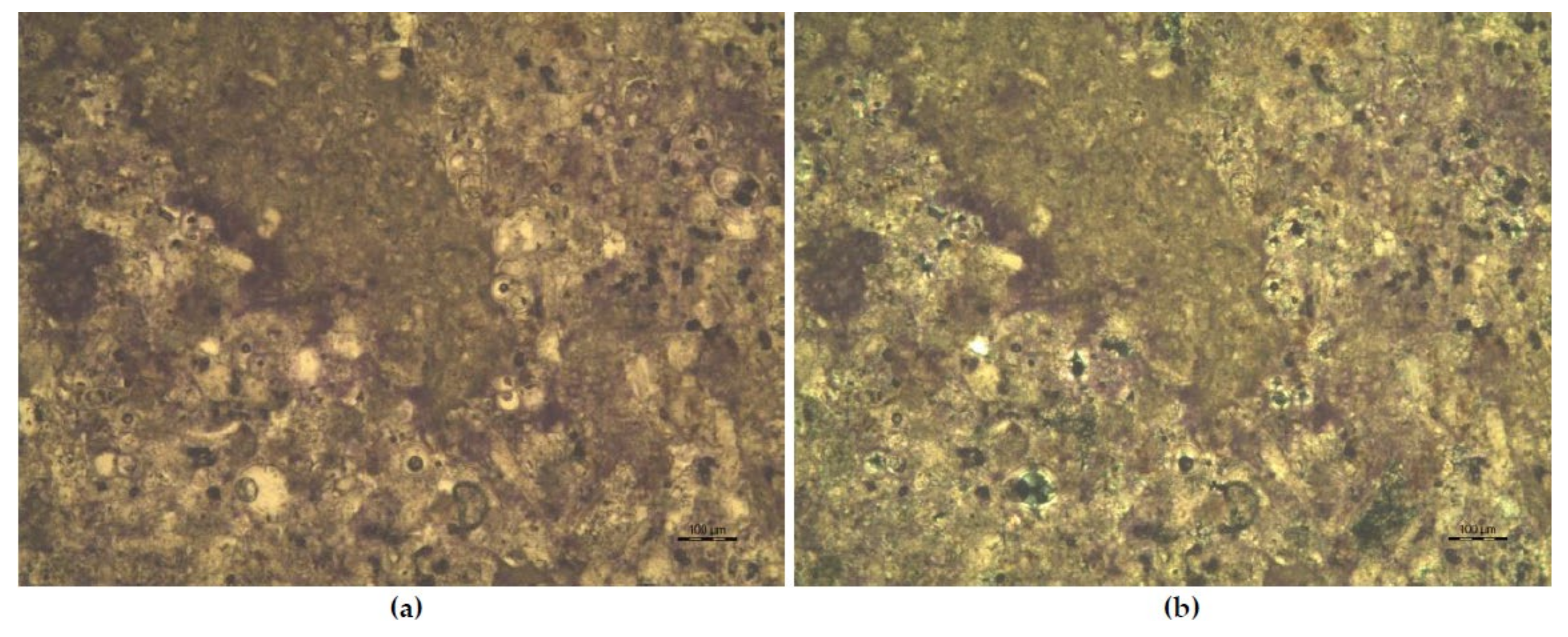 Minerals 11 00740 g010