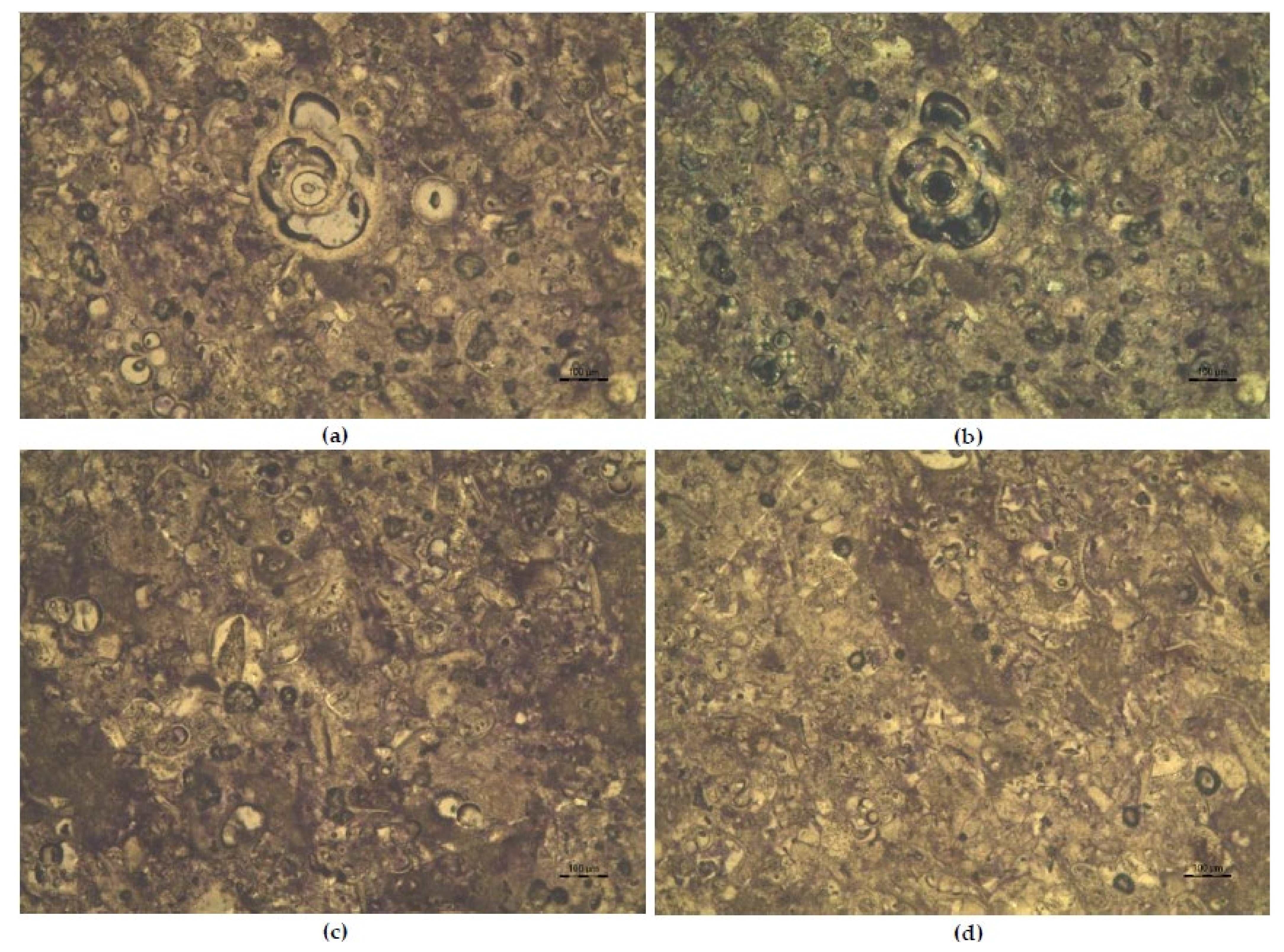 Minerals 11 00740 g011