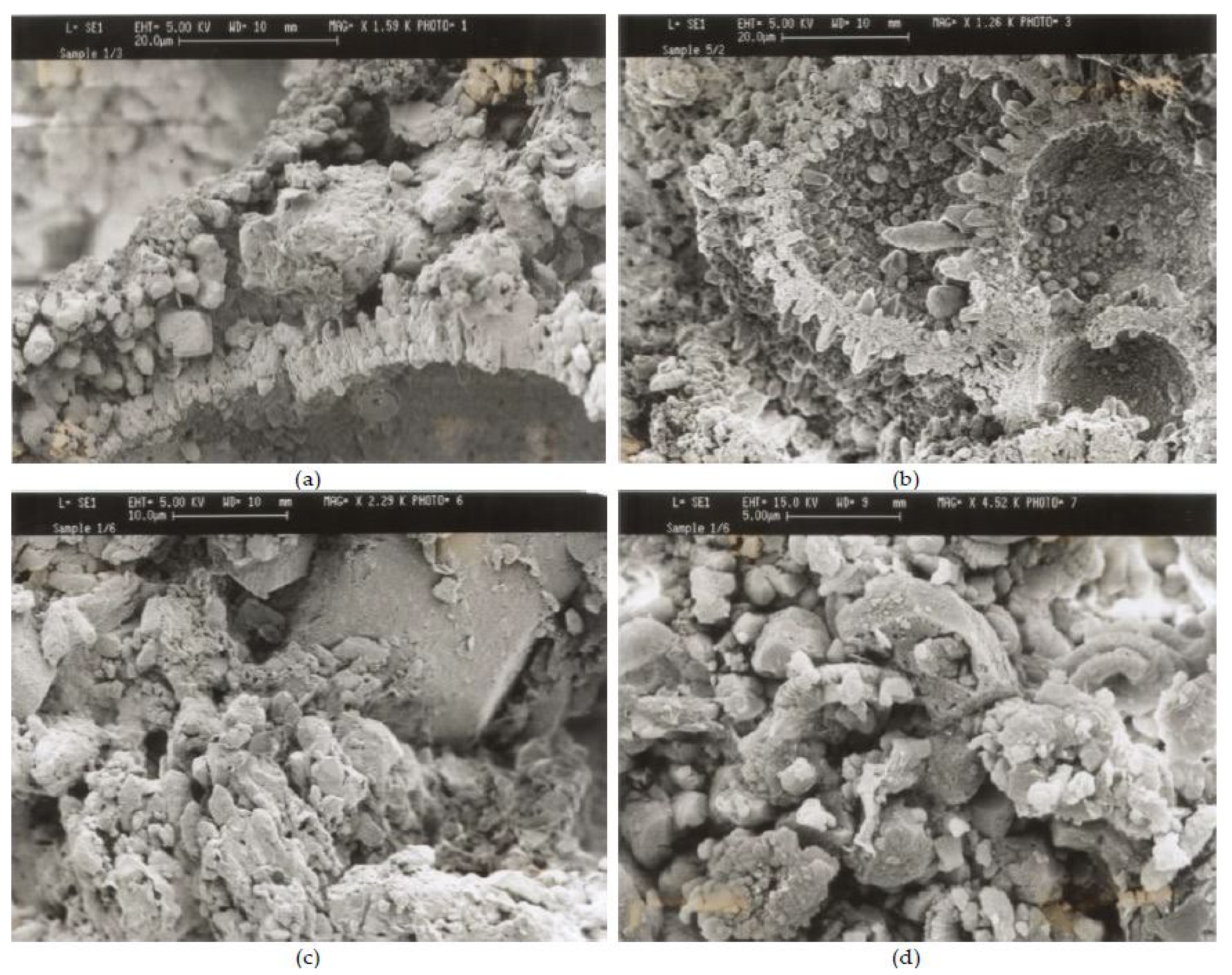 Minerals 11 00740 g012