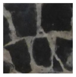 Minerals 11 00746 i001