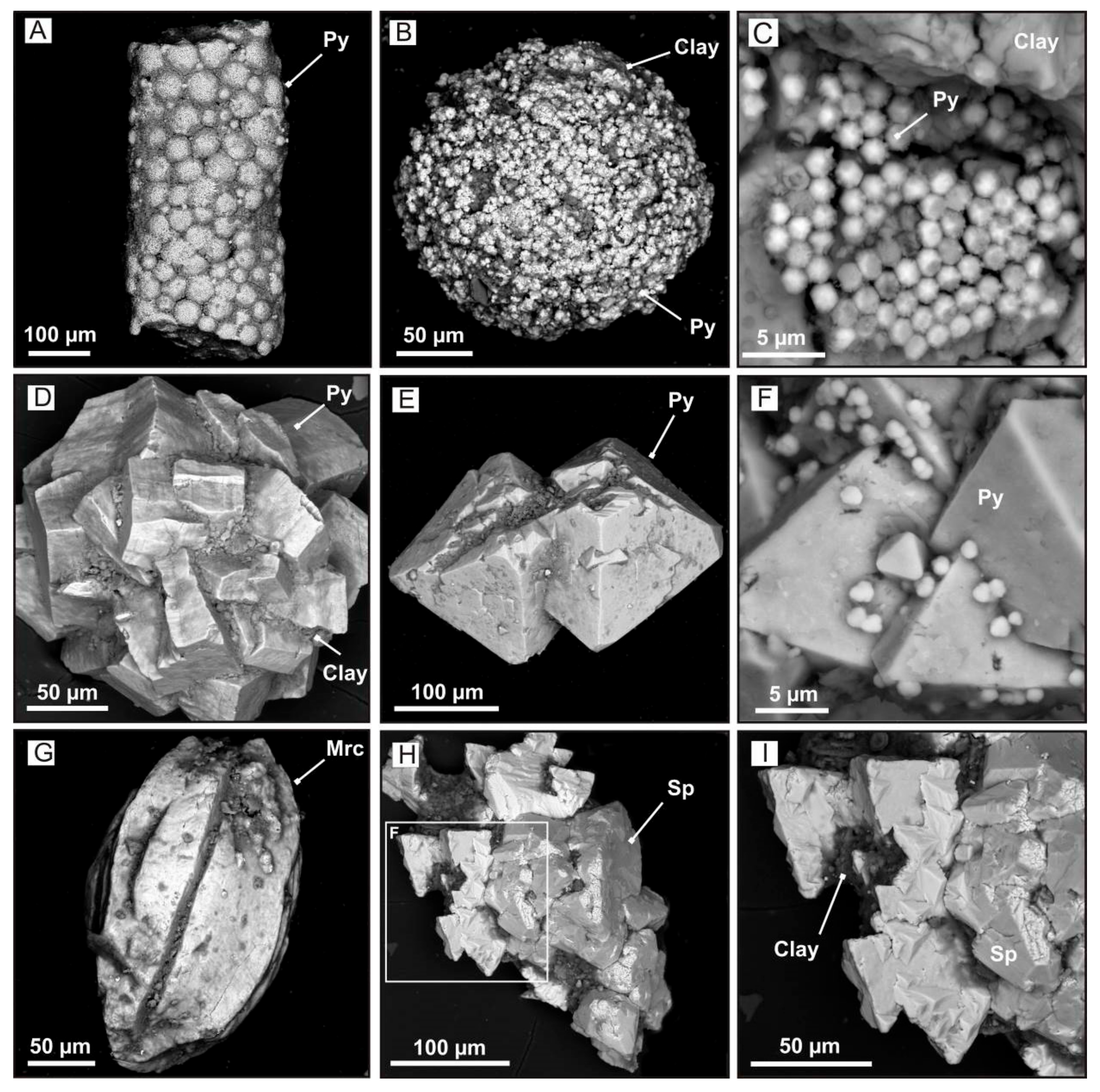 Minerals 11 00751 g004