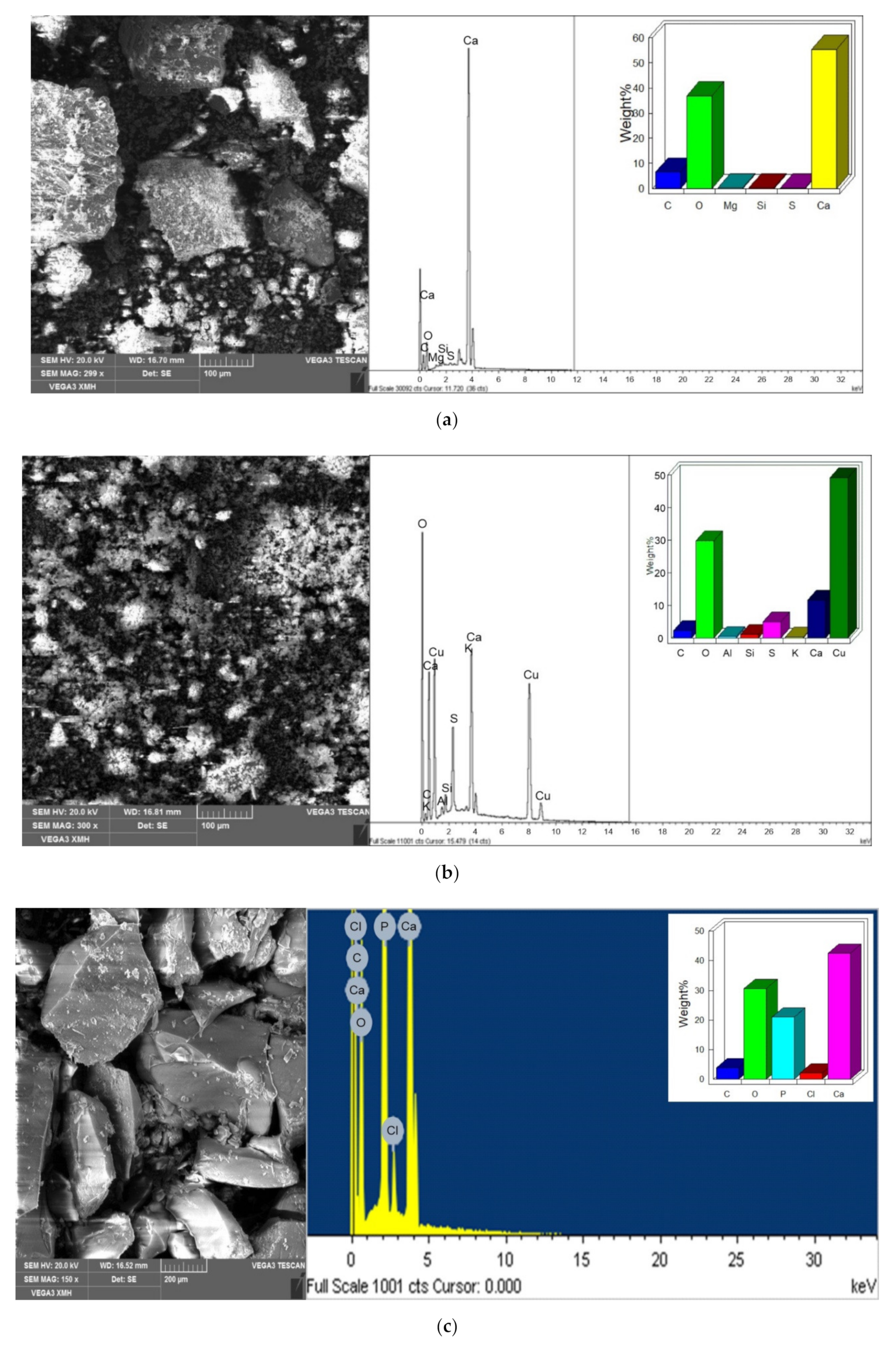Minerals 11 00774 g006