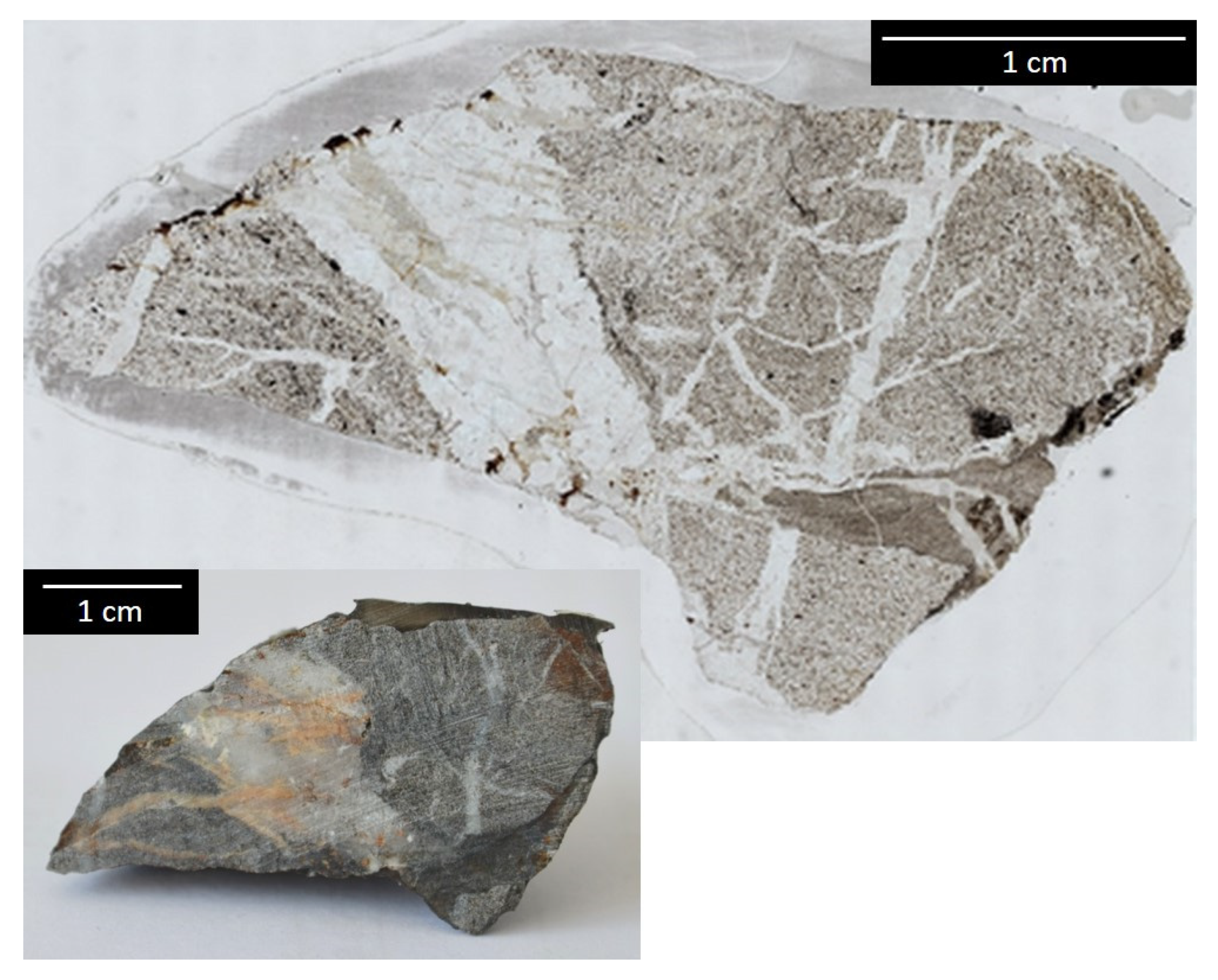 Minerals 11 00804 g002